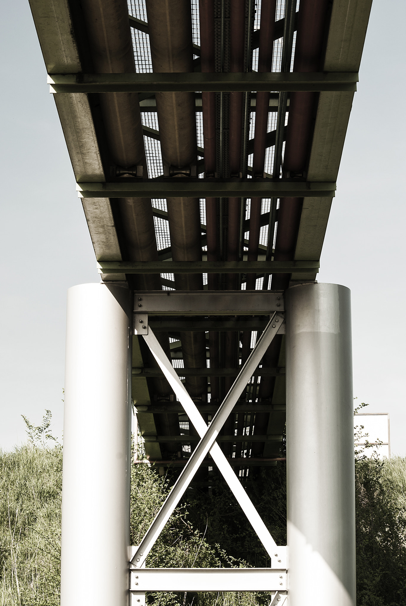 Nikon D3000 sample photo. "tubes+x" photography
