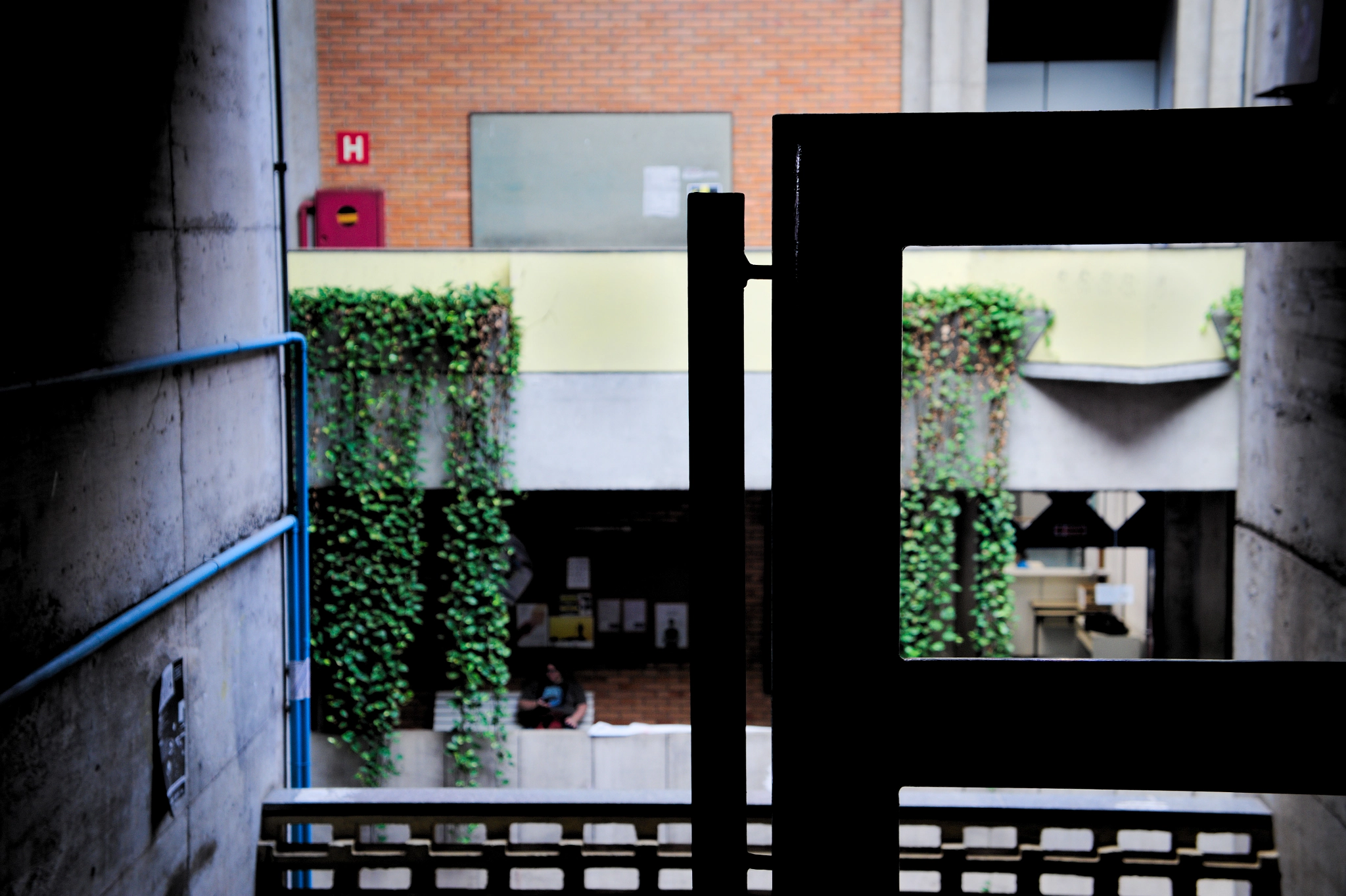 Sony E 18-55mm F3.5-5.6 OSS sample photo. Escola de belas artes - ufmg photography