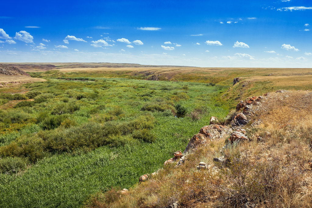 The River Sary-Turgai by Dmitrij Oskirko on 500px.com