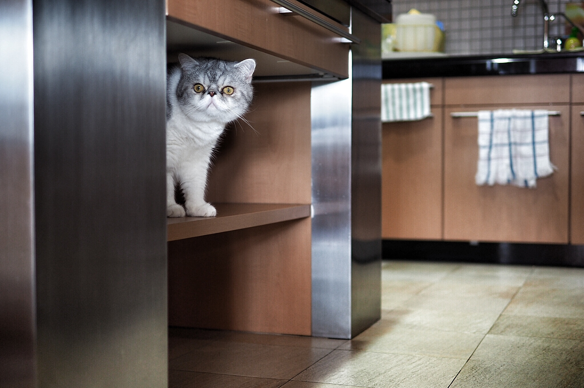 Olympus OM-D E-M10 II + Panasonic Leica DG Summilux 25mm F1.4 II ASPH sample photo