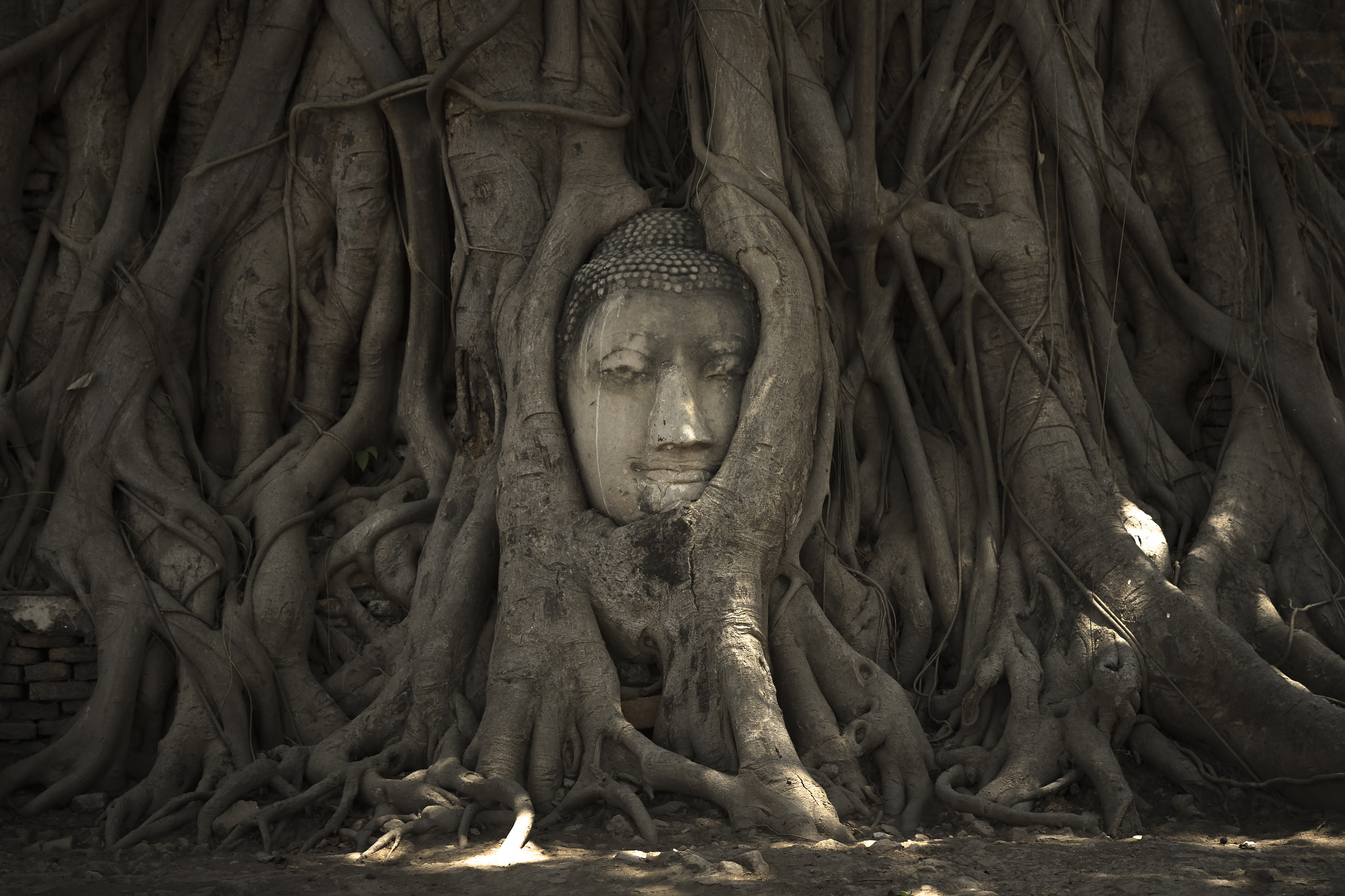 Buddha's head in tree roots in Ayutthaya as a world heritage sit