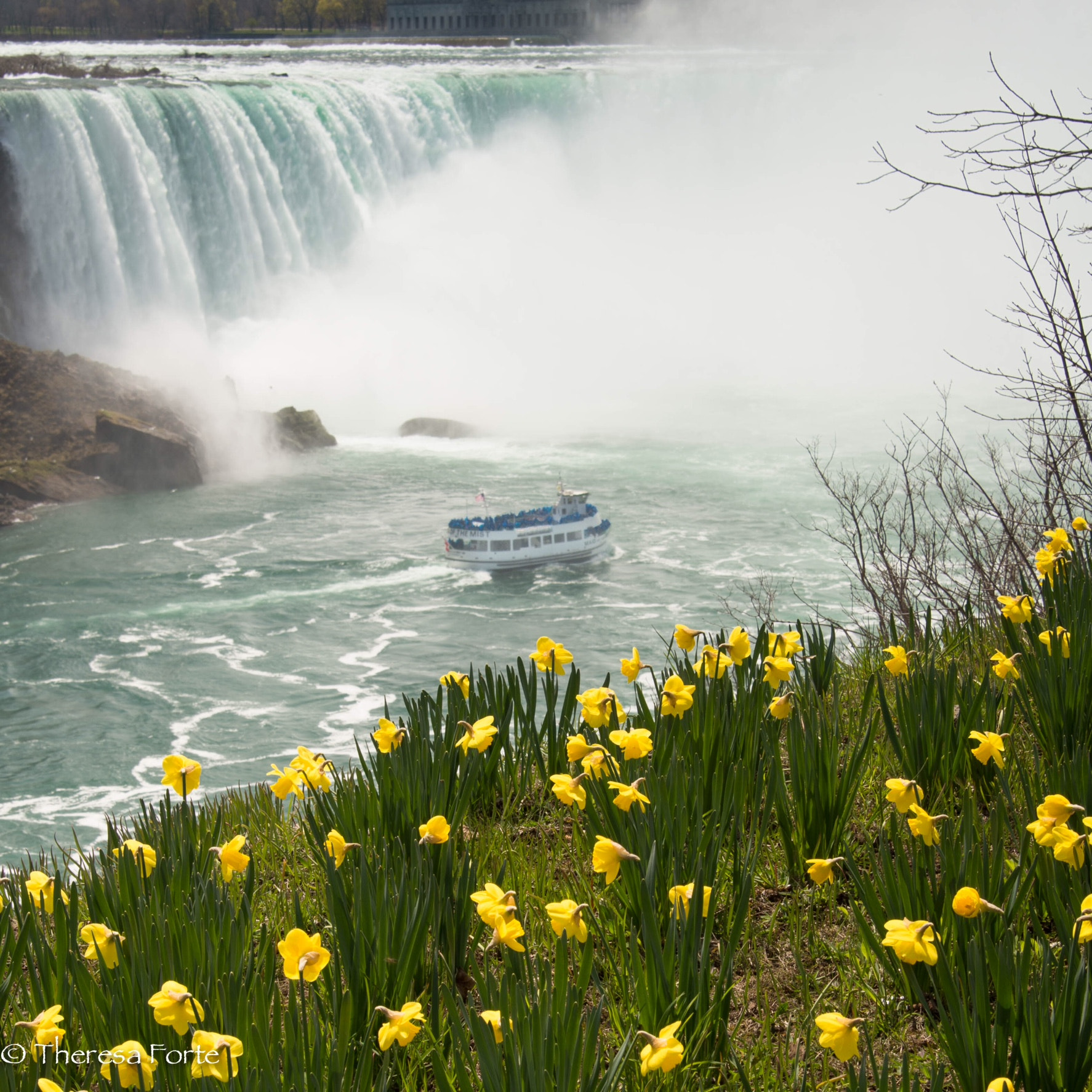 Nikon Df sample photo. Spring in niagara falls photography