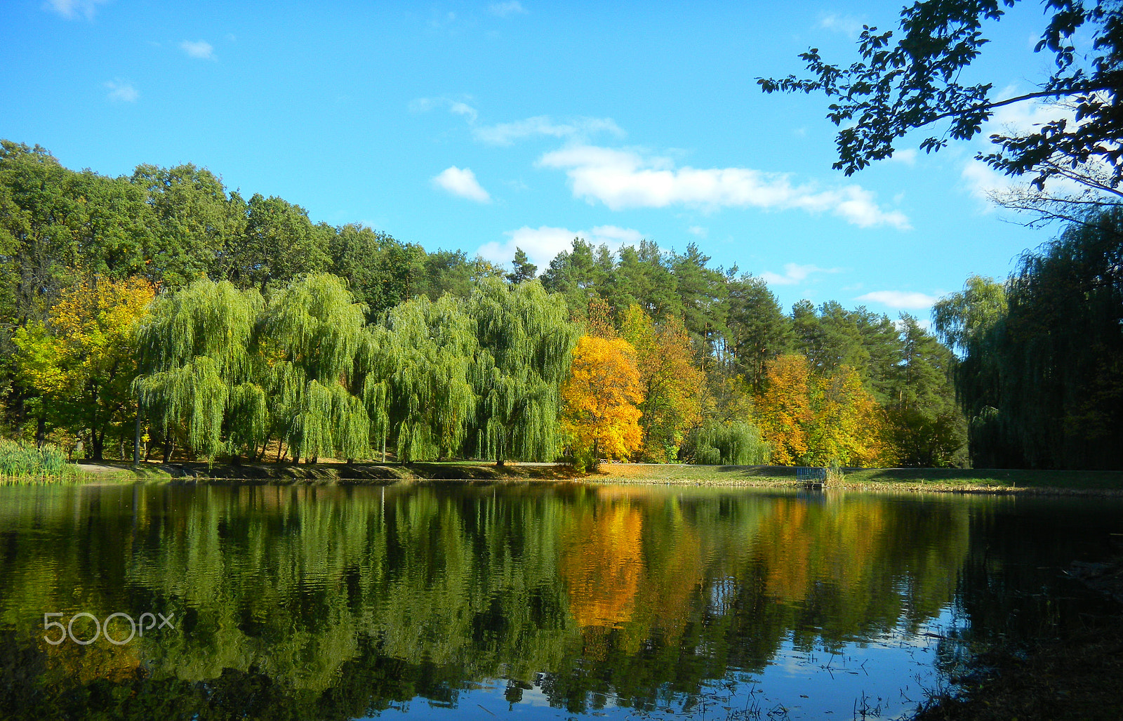 Nikon Coolpix S1100pj sample photo. The lake in the autumn park photography