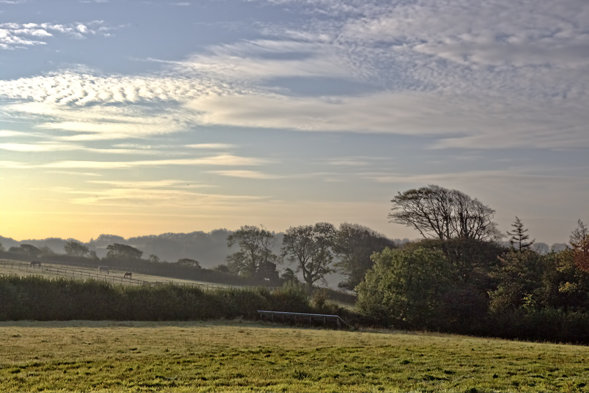 Canon EF-S 17-55mm F2.8 IS USM sample photo. Misty morning sun photography
