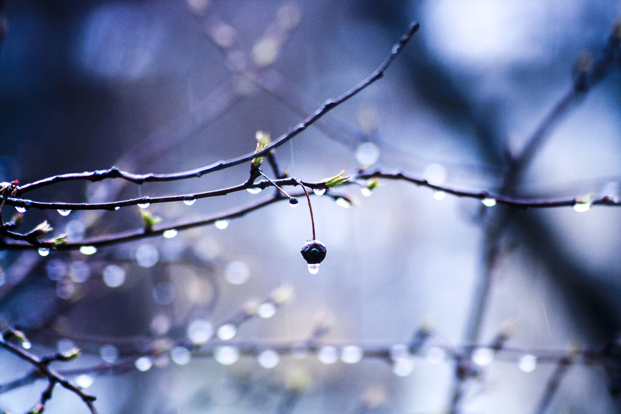Canon EF 70-210mm f/3.5-4.5 USM sample photo. Холодный день 2 мая.jpg photography
