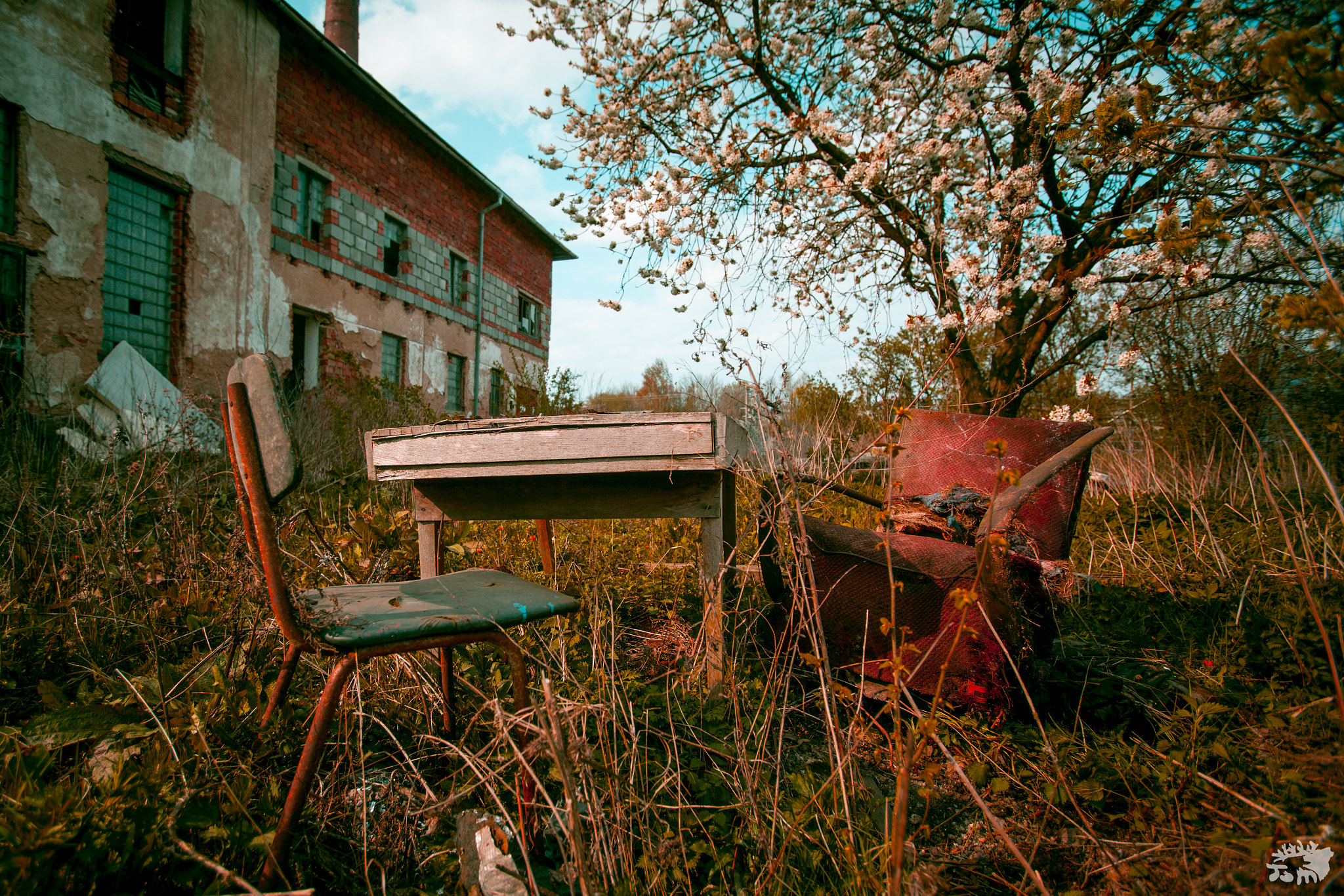 Canon EOS 5D Mark II + Canon EF 16-35mm F2.8L USM sample photo. Seating in the nature photography