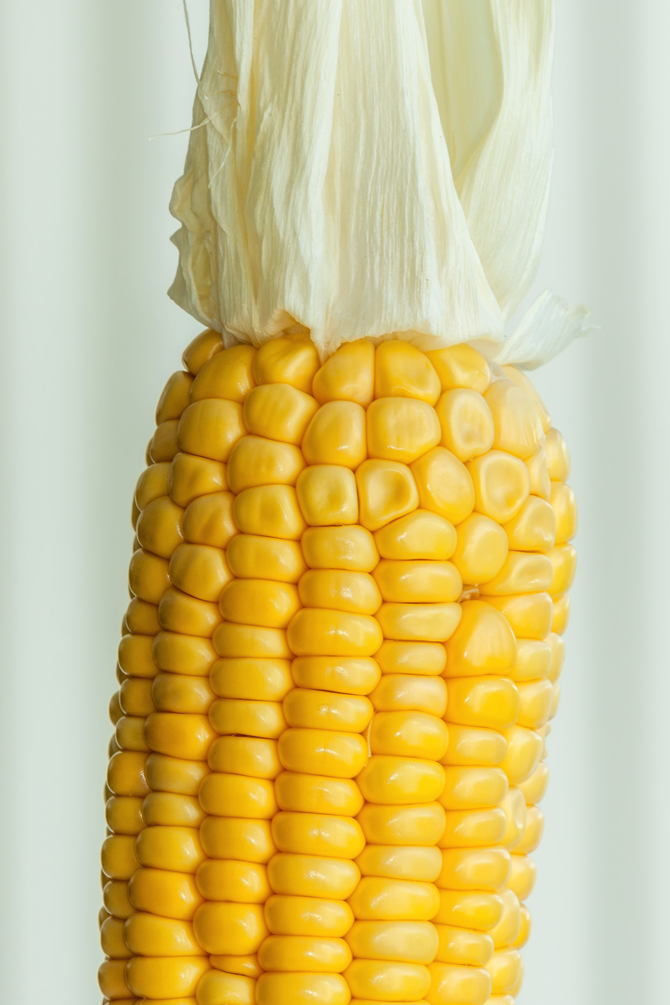 Sony Alpha DSLR-A700 + Sony 70-400mm F4-5.6 G SSM sample photo. Corn on the cob photography