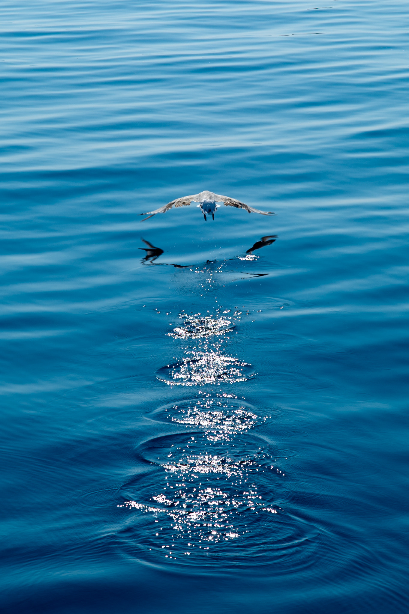 Nikon AF Nikkor 24-85mm F2.8-4D IF sample photo. Hrvatska - croatia photography