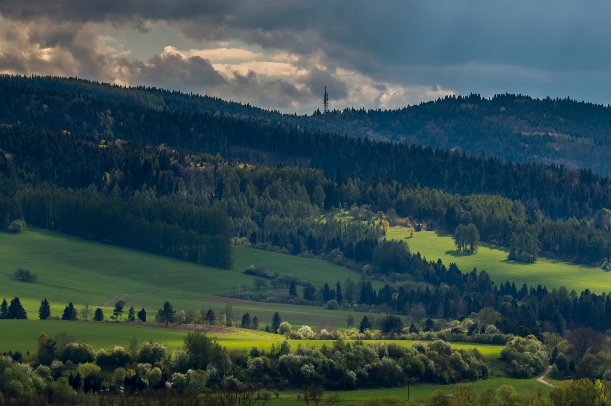 Nikon D3200 + Sigma APO 100-300mm F4 EX IF HSM sample photo. Cloudy meadow/slovakia photography