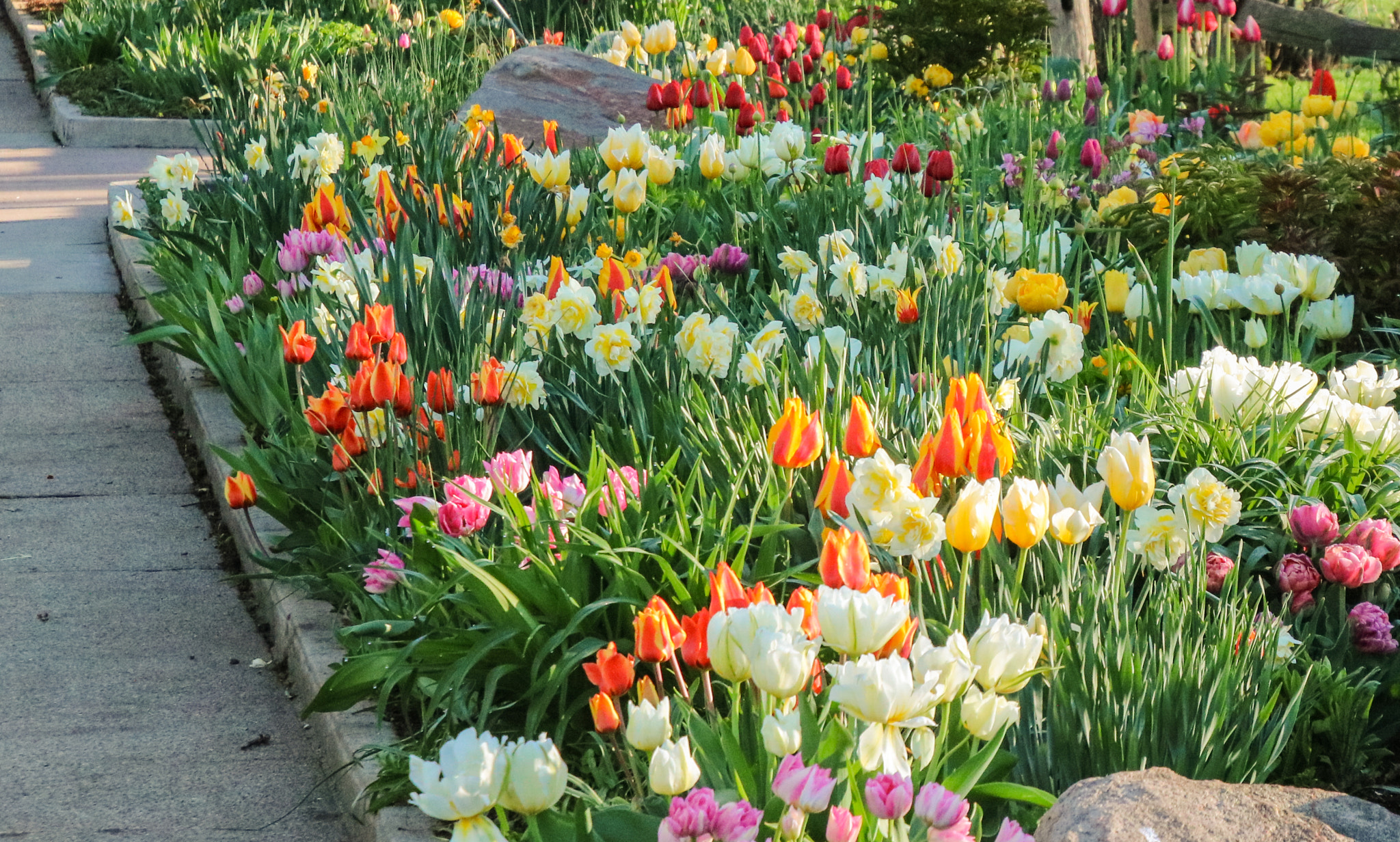 Canon EOS 760D (EOS Rebel T6s / EOS 8000D) sample photo. Flower bed in park photography
