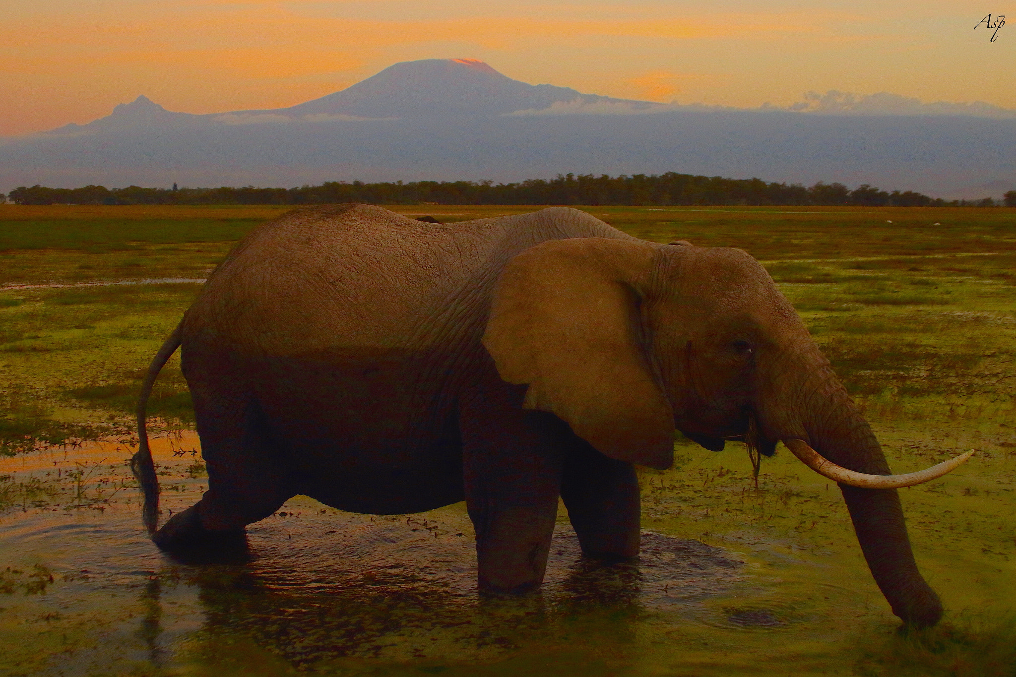 Canon EF-S 18-55mm F3.5-5.6 sample photo. Sundown at kilimanjaro. photography