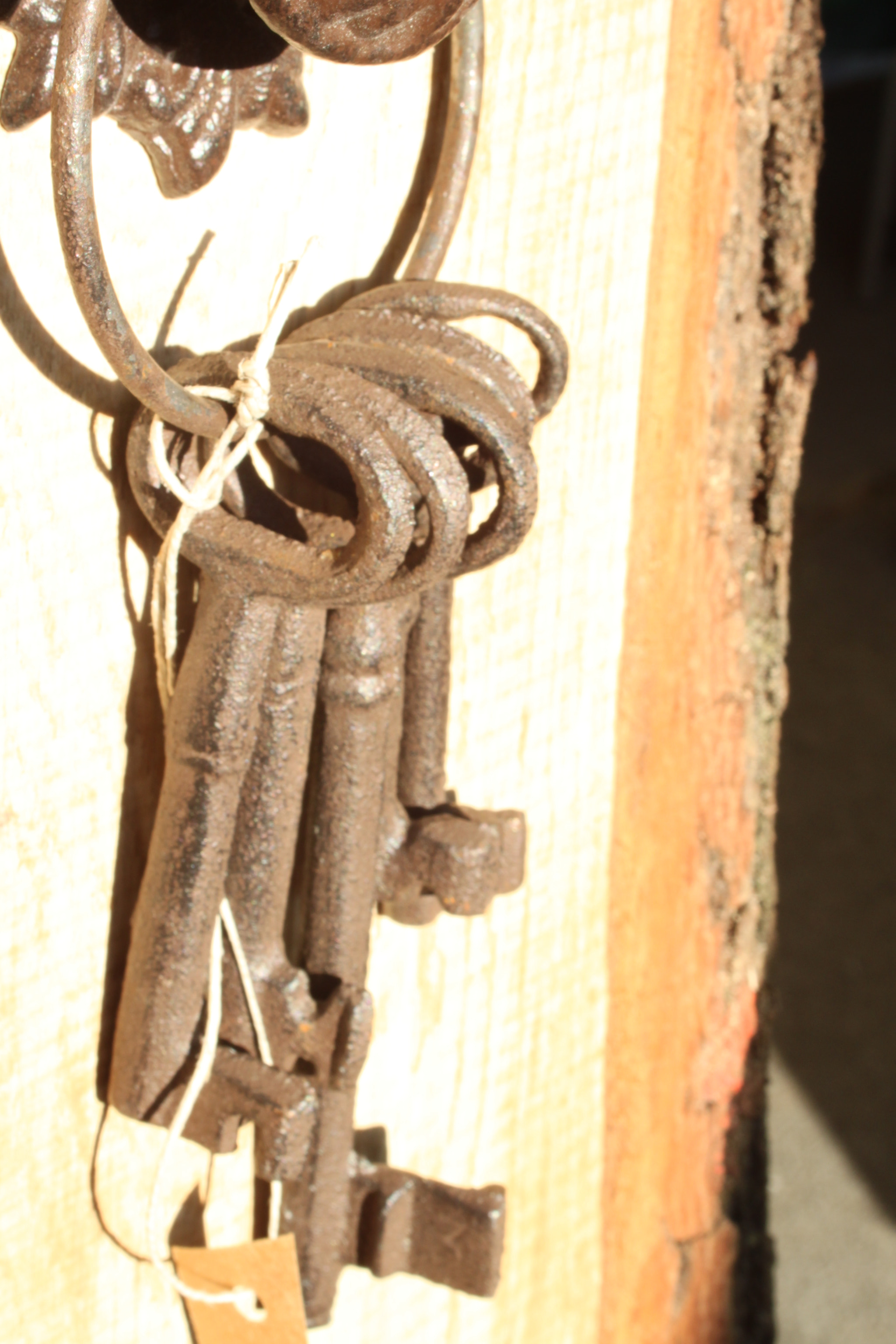 Canon EF 28-80mm f/3.5-5.6 sample photo
