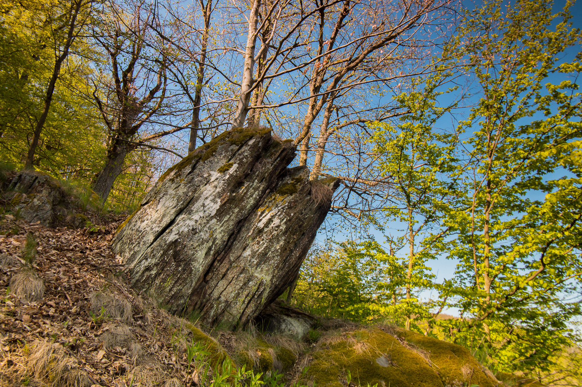 Canon EOS 6D + Tamron SP AF 17-35mm F2.8-4 Di LD Aspherical (IF) sample photo. Spring rock photography
