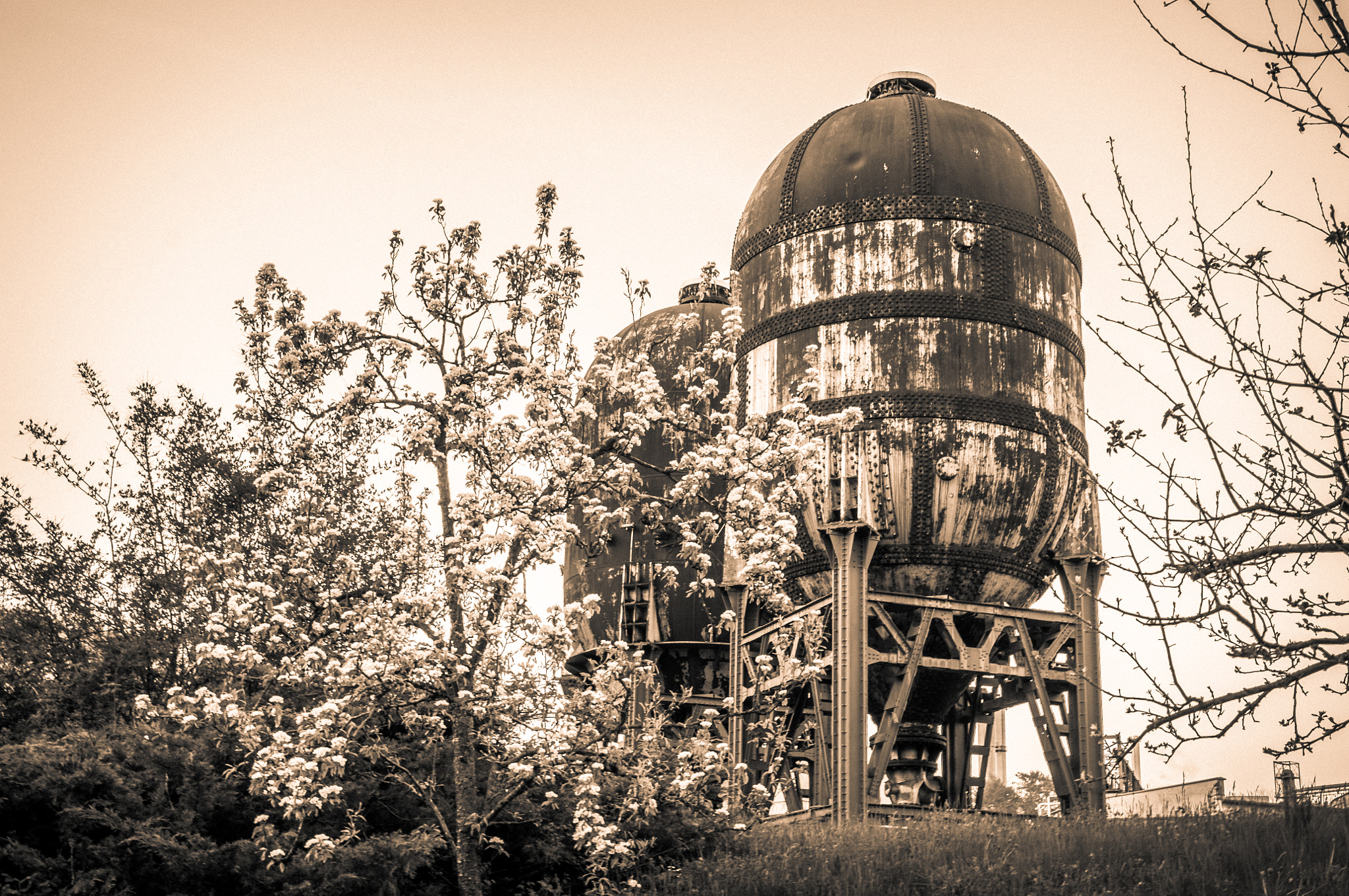 Sigma 17-70mm F2.8-4 DC Macro OS HSM | C sample photo. Wassertank (sepia) photography