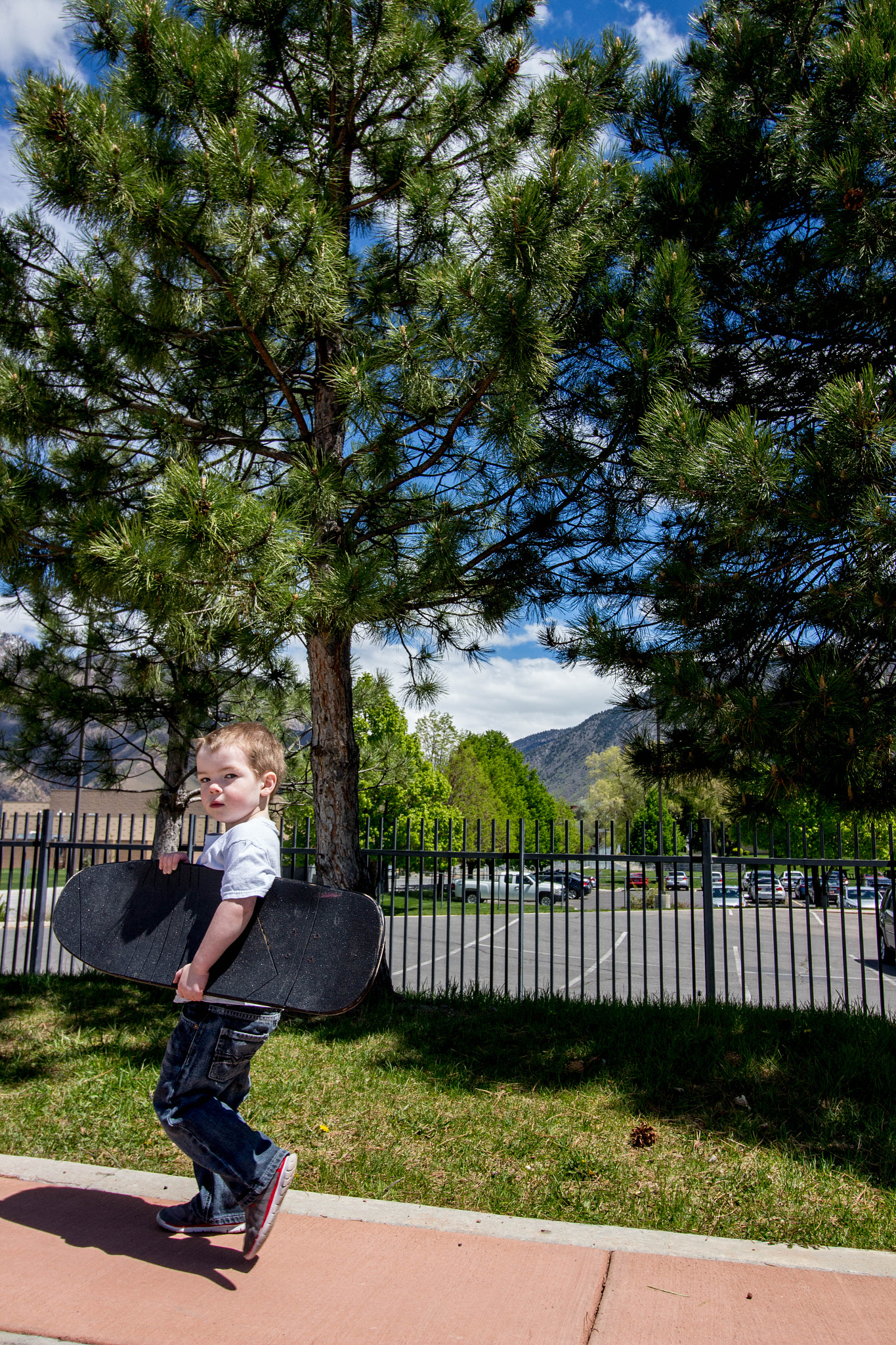 Canon EF-S 10-18mm F4.5–5.6 IS STM sample photo. Little shredder photography