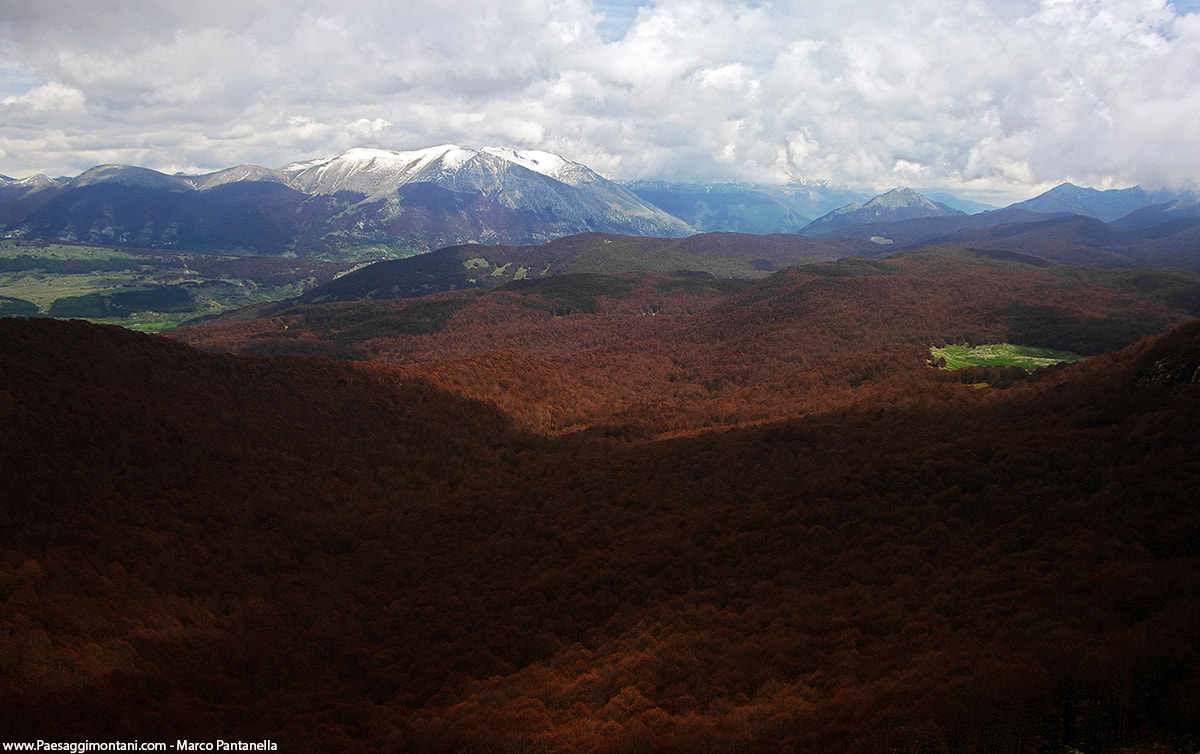 Pentax K20D sample photo. View from serra del re photography