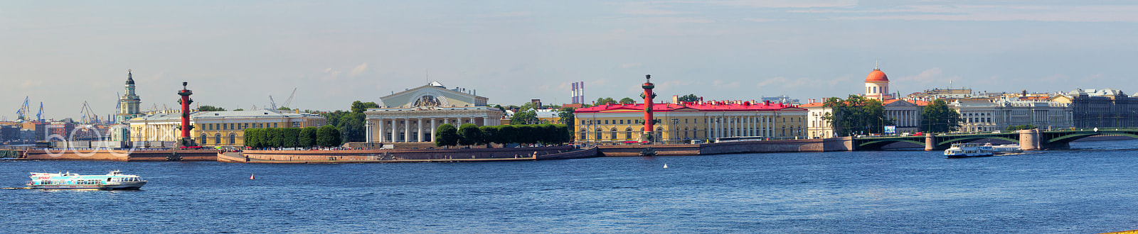 Canon EOS-1D Mark IV sample photo. Стрелка ВО photography