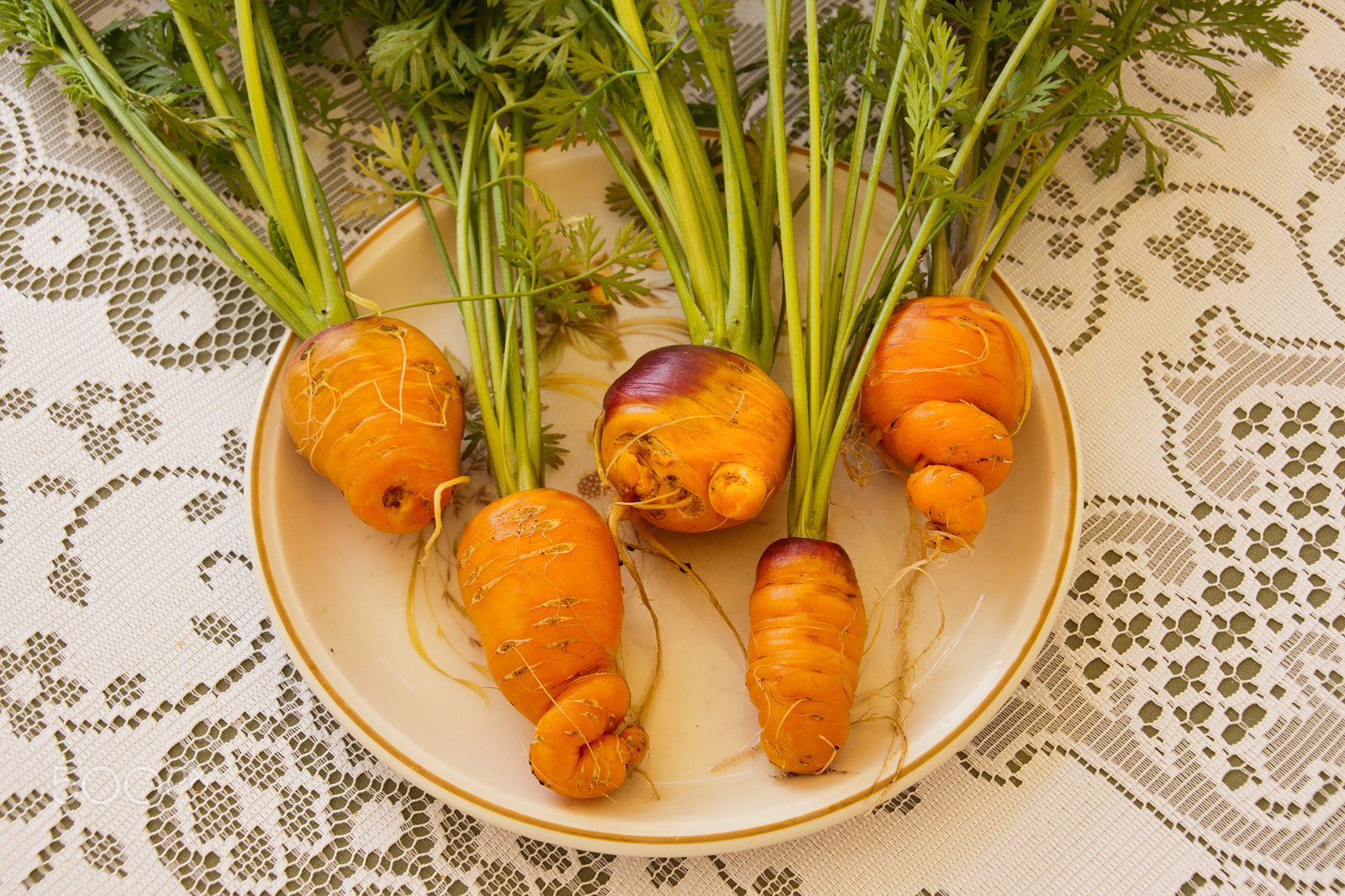 Sony Alpha DSLR-A700 + Tamron 18-270mm F3.5-6.3 Di II PZD sample photo. Strangely shaped carrots. photography