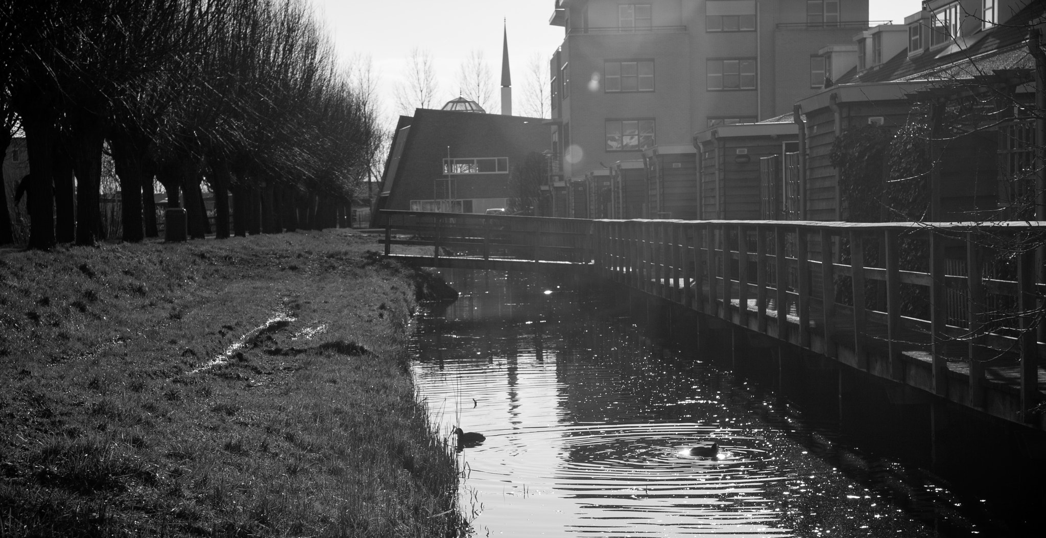 Sigma 18-50mm F2.8-4.5 DC OS HSM sample photo. 16.jpg photography