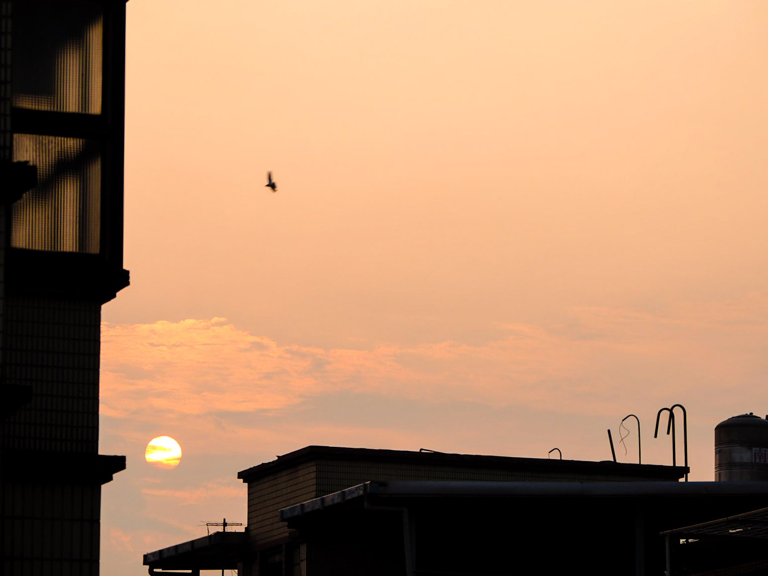 Panasonic Lumix G Vario 45-200mm F4-5.6 OIS sample photo. Sunset photography