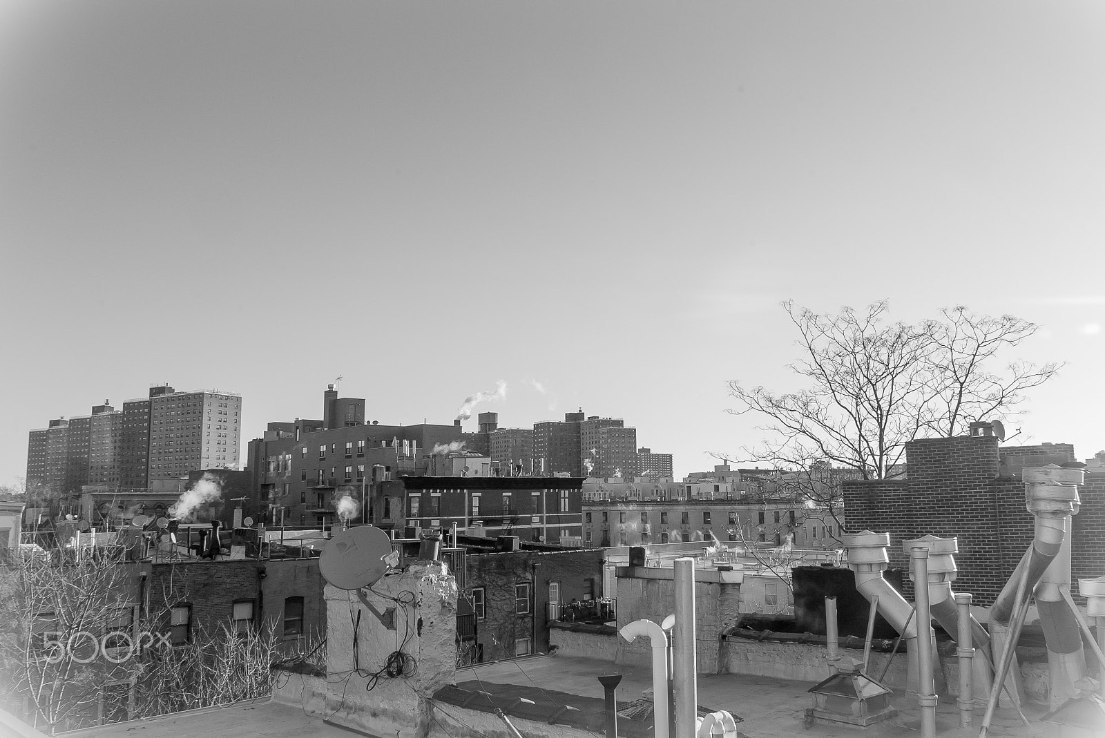 Sony a7S + Sony FE 24-240mm F3.5-6.3 OSS sample photo. Ny harlem roofs photography