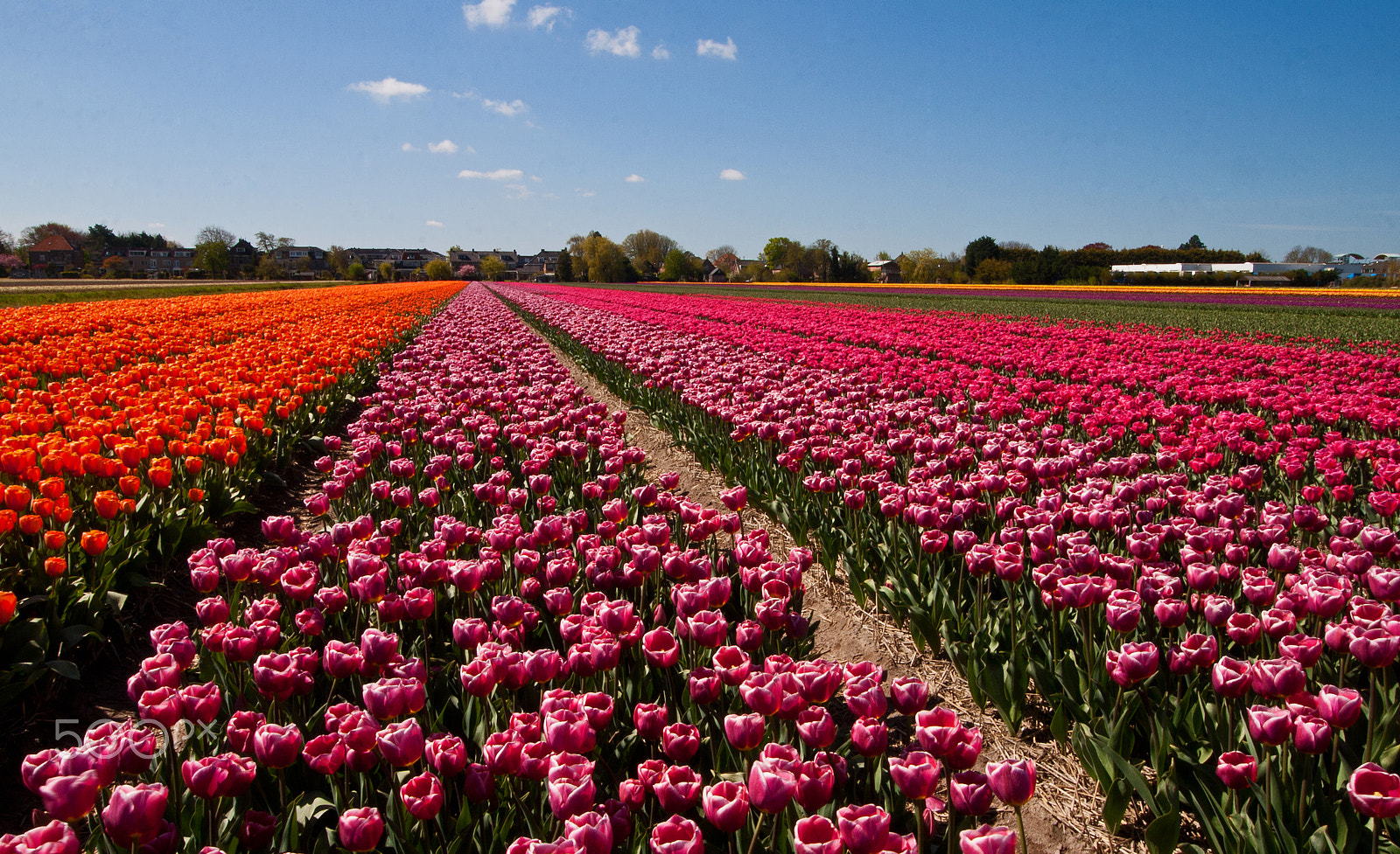 Canon EF-S 10-18mm F4.5–5.6 IS STM sample photo. Colorful patchwork photography
