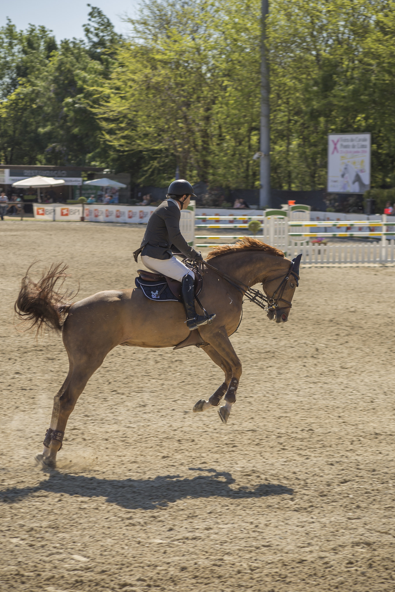 Canon EF 100-300mm F4.5-5.6 USM sample photo. Csipontedelima photography