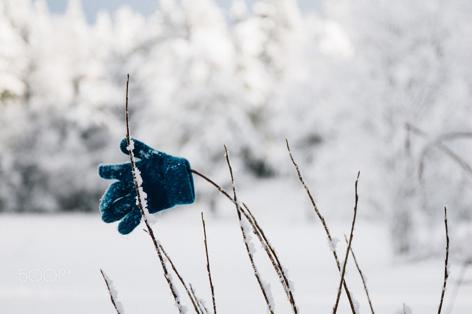 Canon EOS M sample photo. Snow & glove photography