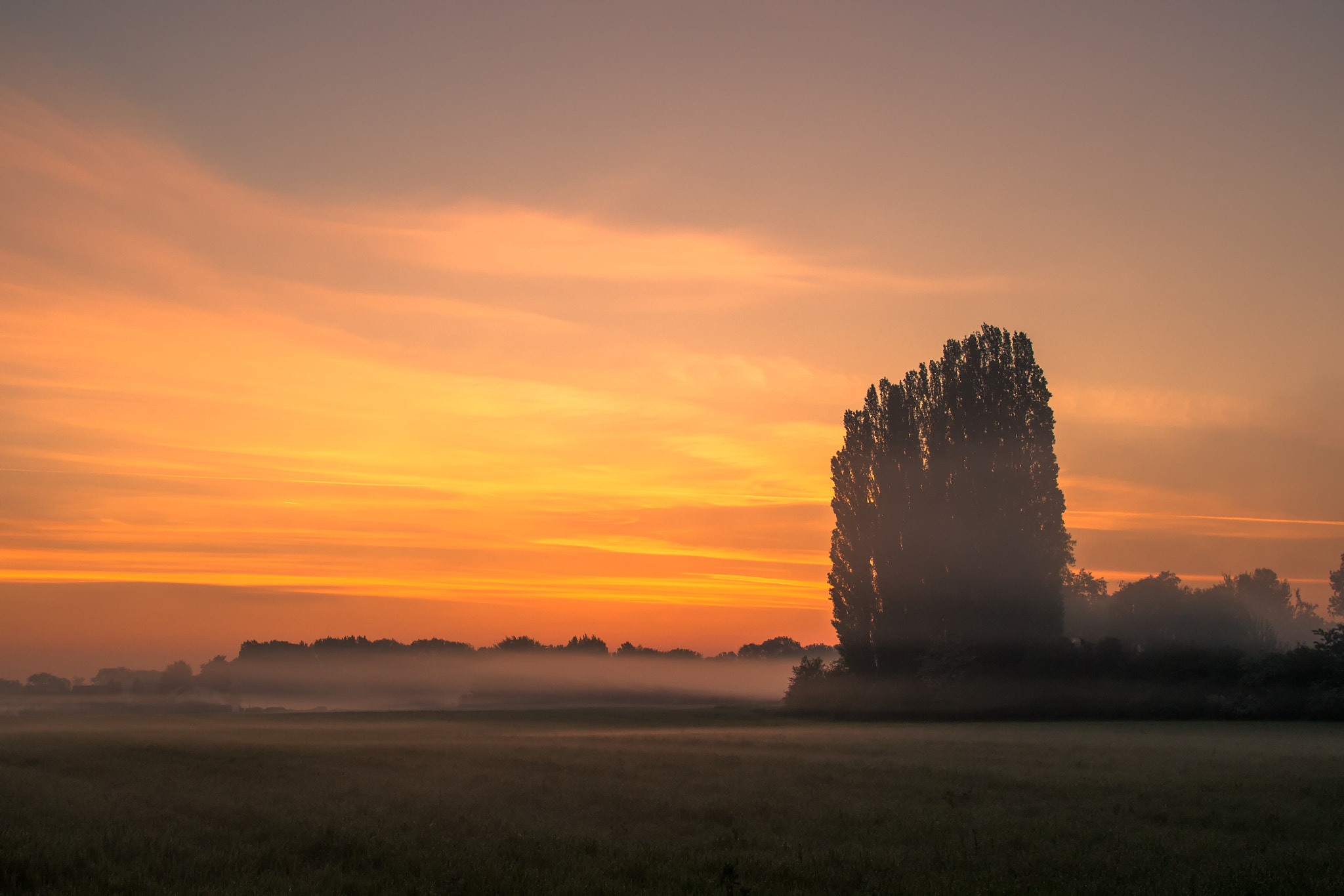 Olympus OM-D E-M5 + Olympus M.Zuiko Digital 25mm F1.8 sample photo. Misty fields at dawn photography