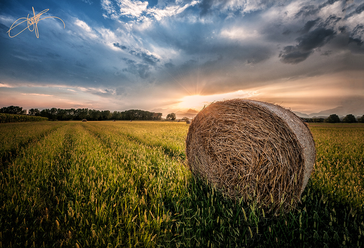 Sigma 8-16mm F4.5-5.6 DC HSM sample photo. Ivrea - campi di grano photography