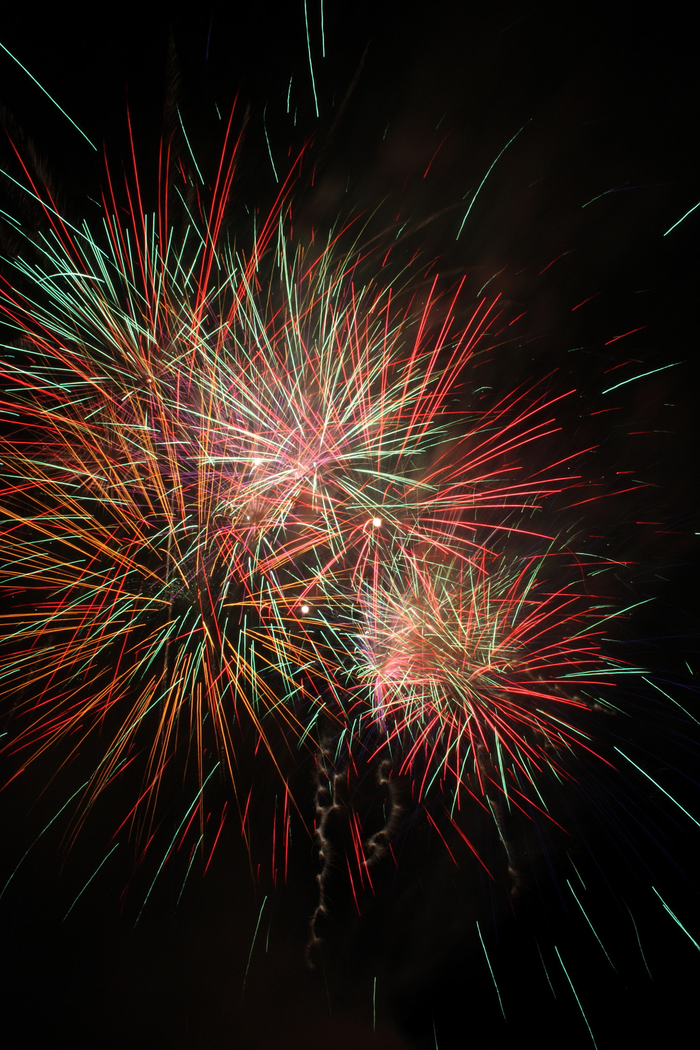 Canon EF-S 18-55mm F3.5-5.6 sample photo. Fireworks photography