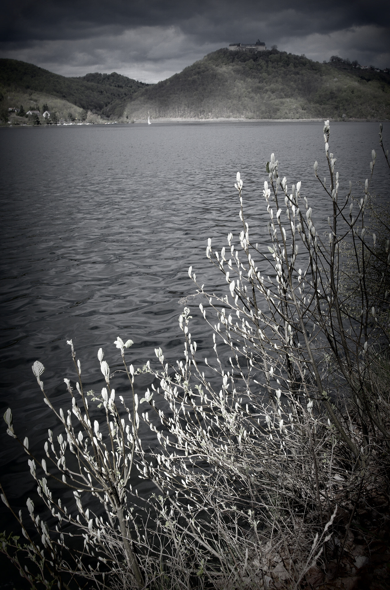 Pentax K-5 II sample photo. Edersee mit segelboot photography