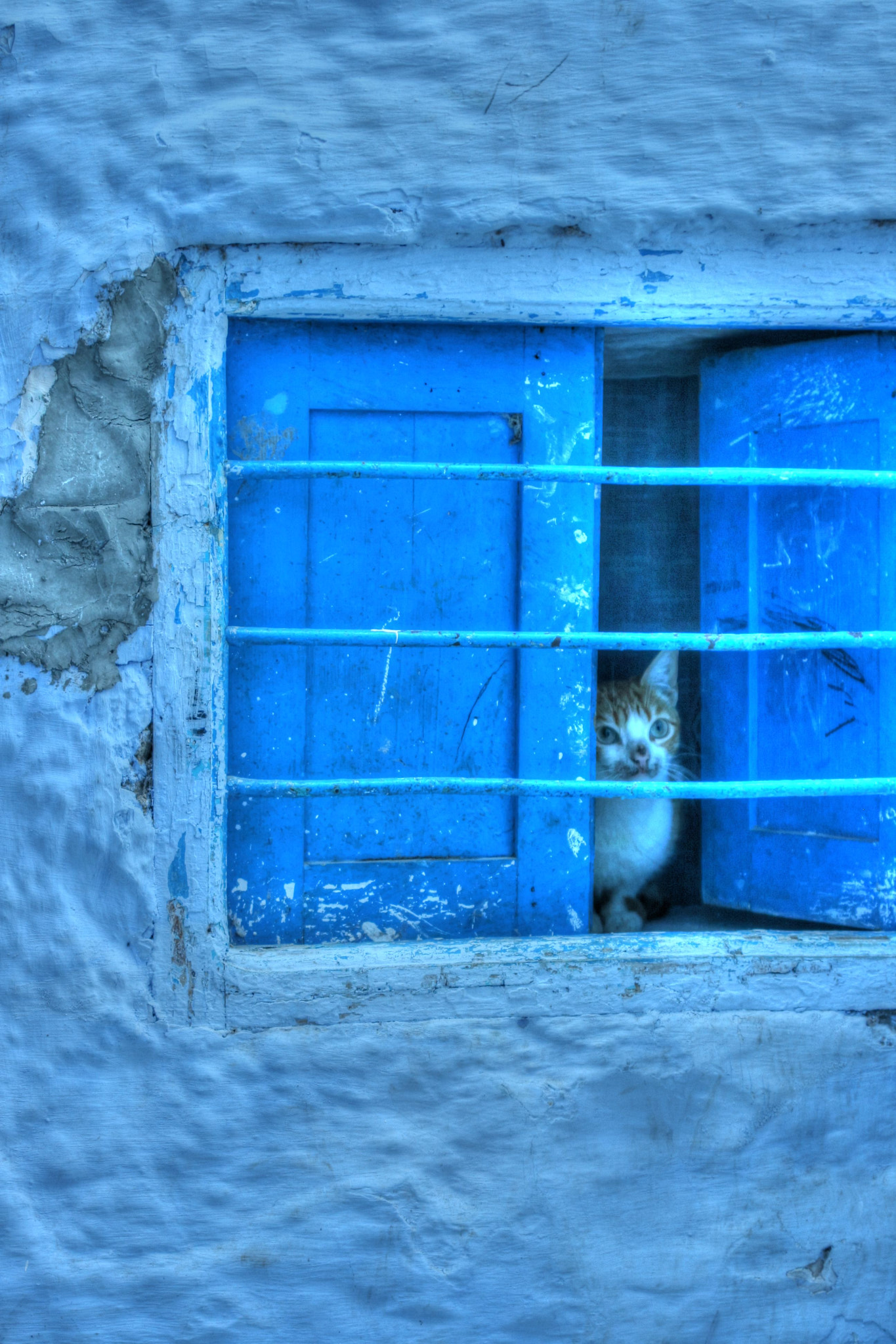 Canon EF 28-80mm f/2.8-4L sample photo. Painterly photography