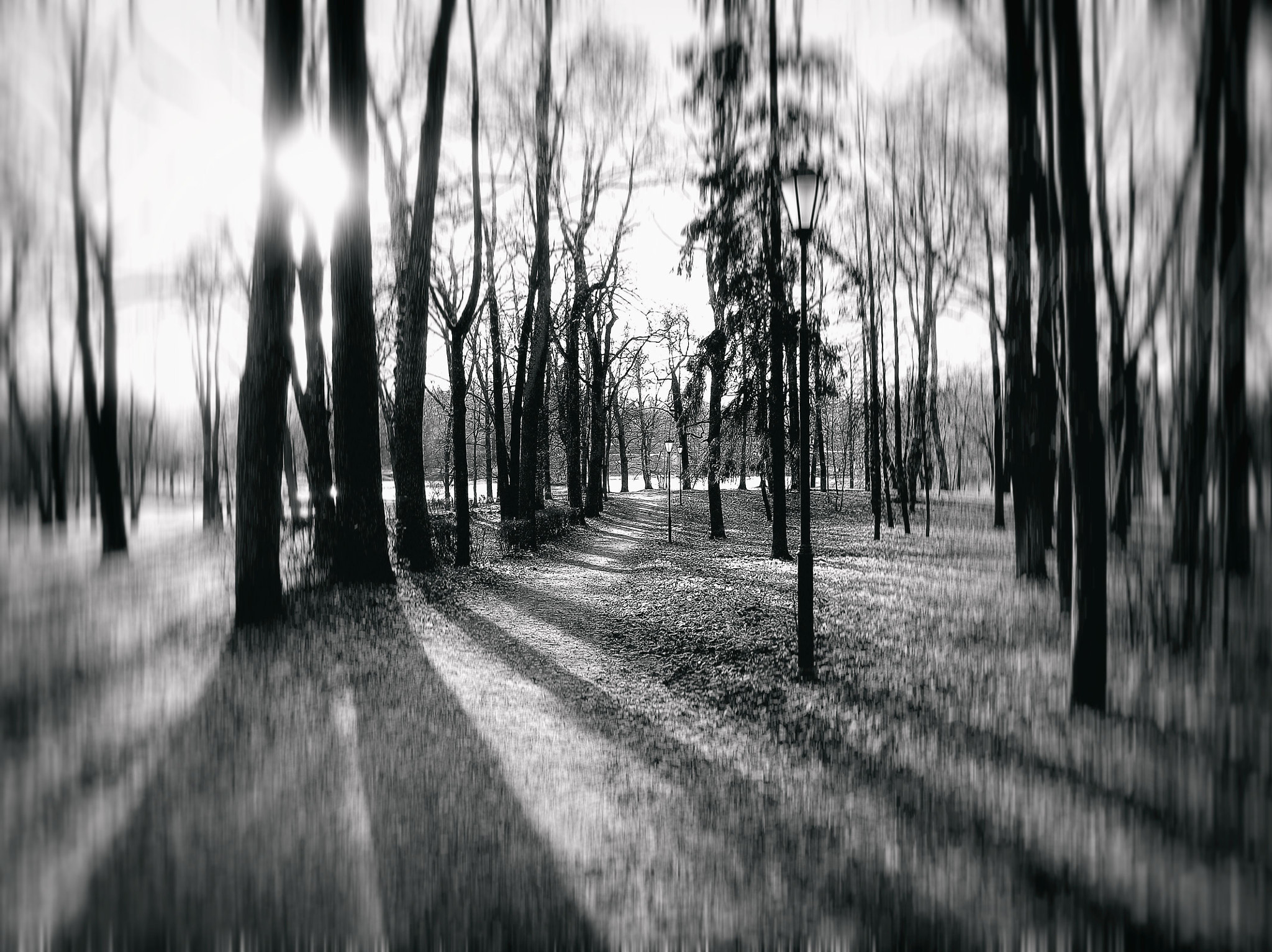 PENTACON luxmedia 16-Z21S sample photo. Signs photography
