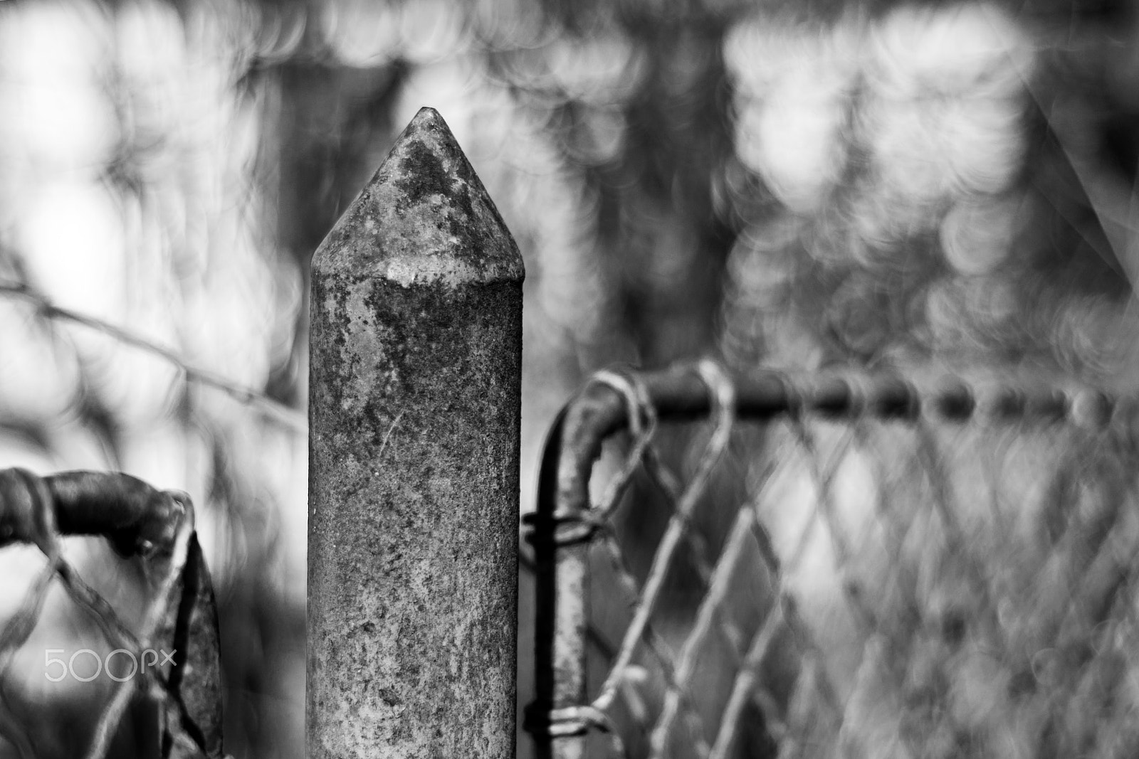 Nikon D7100 + Sigma 50mm F2.8 EX DG Macro sample photo. Old fence photography