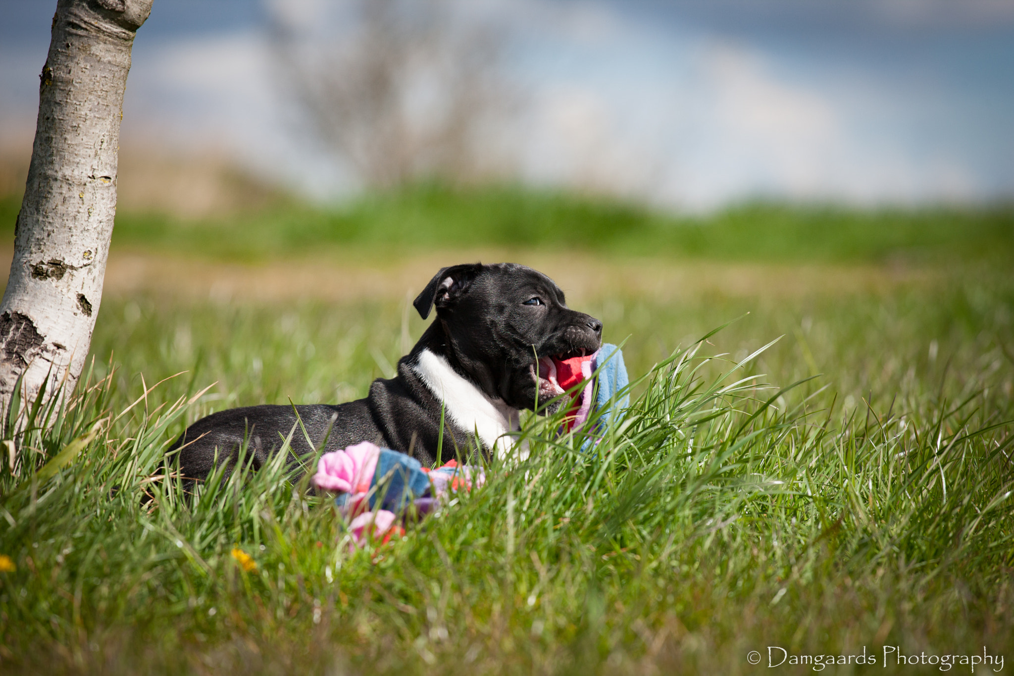 Canon EOS-1Ds Mark III sample photo. 5l0r0198.jpg photography