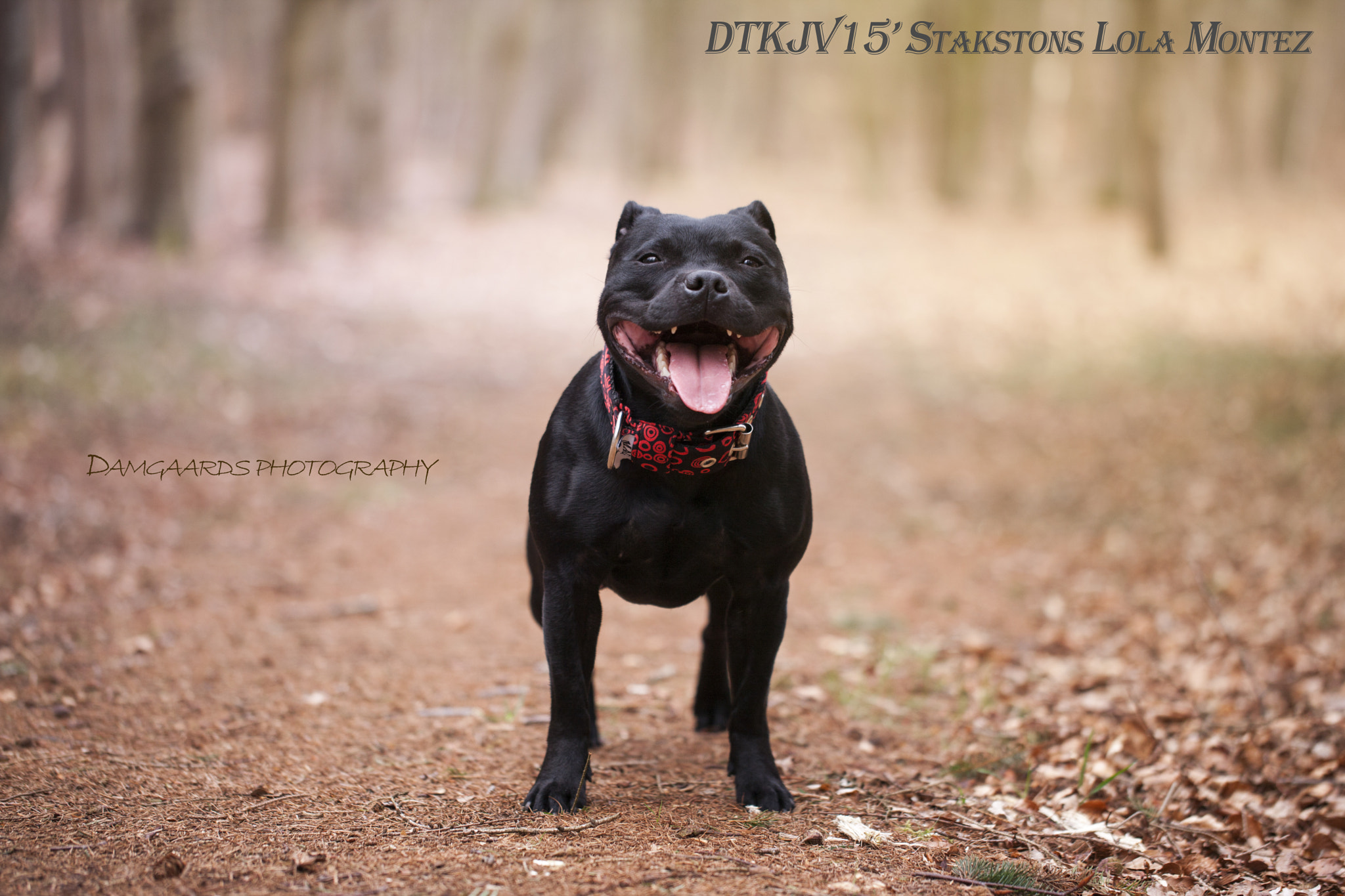 Canon EOS-1Ds Mark III sample photo. 5l0r9794.jpg photography