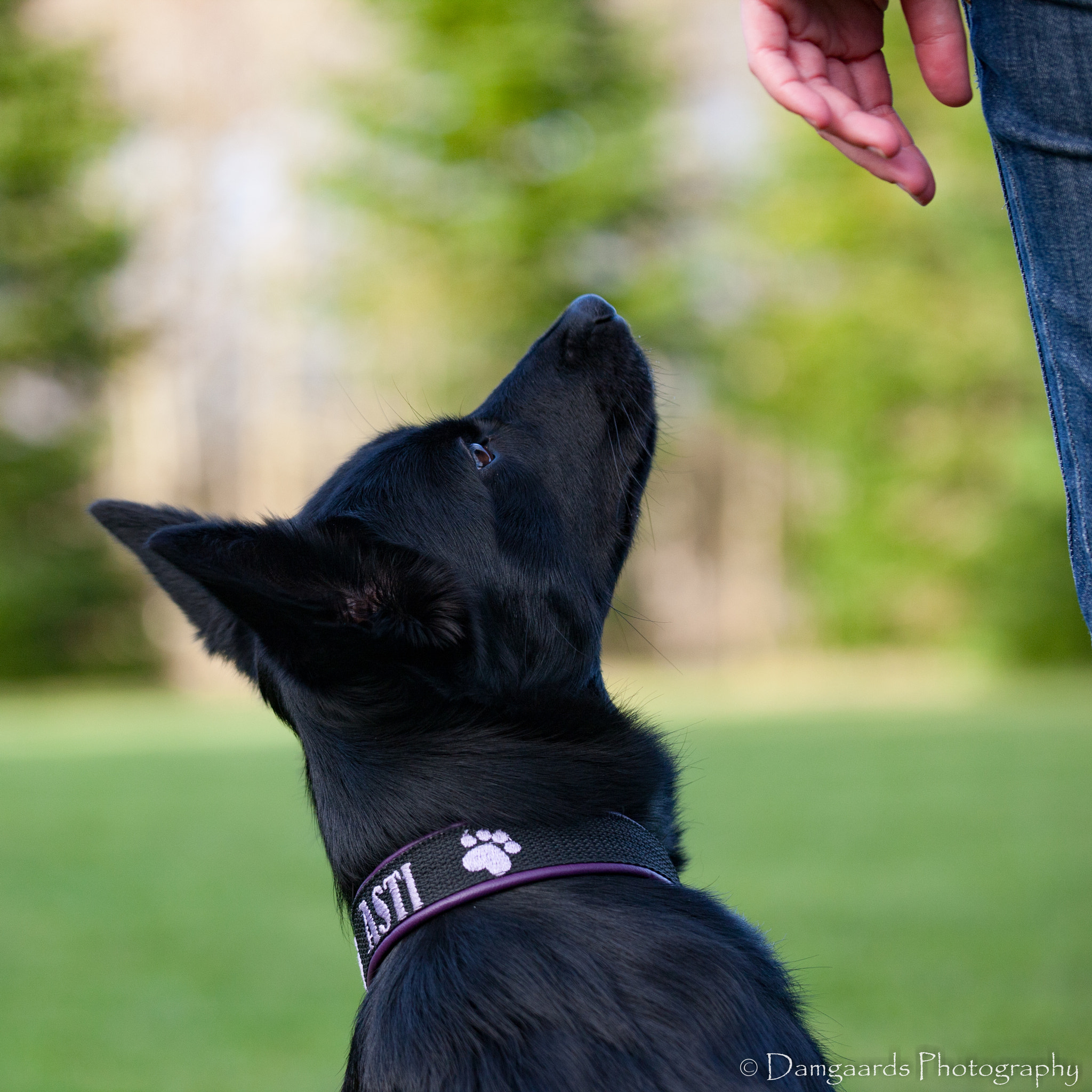 Canon EOS-1Ds Mark III sample photo. 5l0r9955.jpg photography