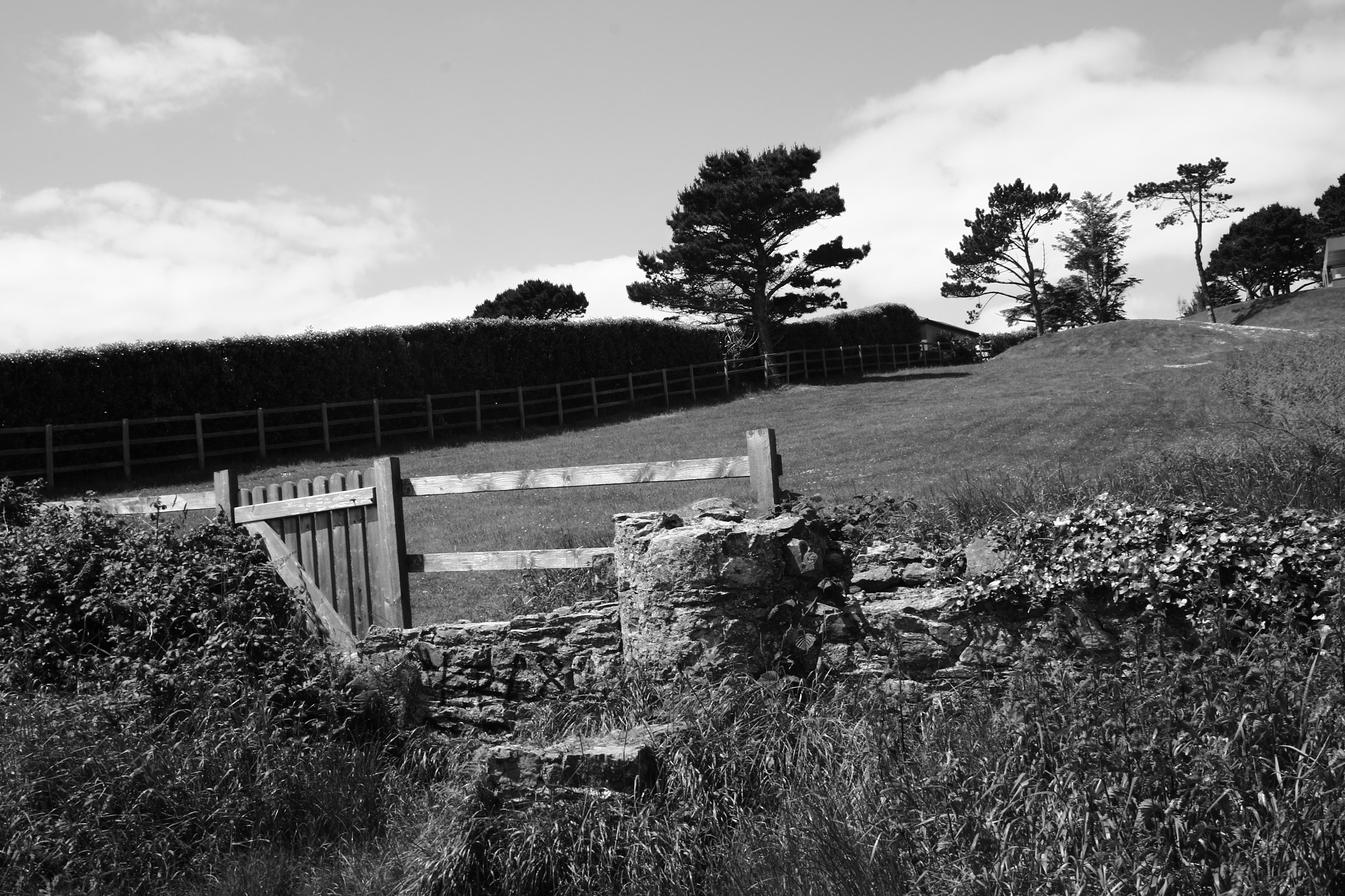 Canon EF-S 18-55mm F3.5-5.6 sample photo. Howth, ireland photography