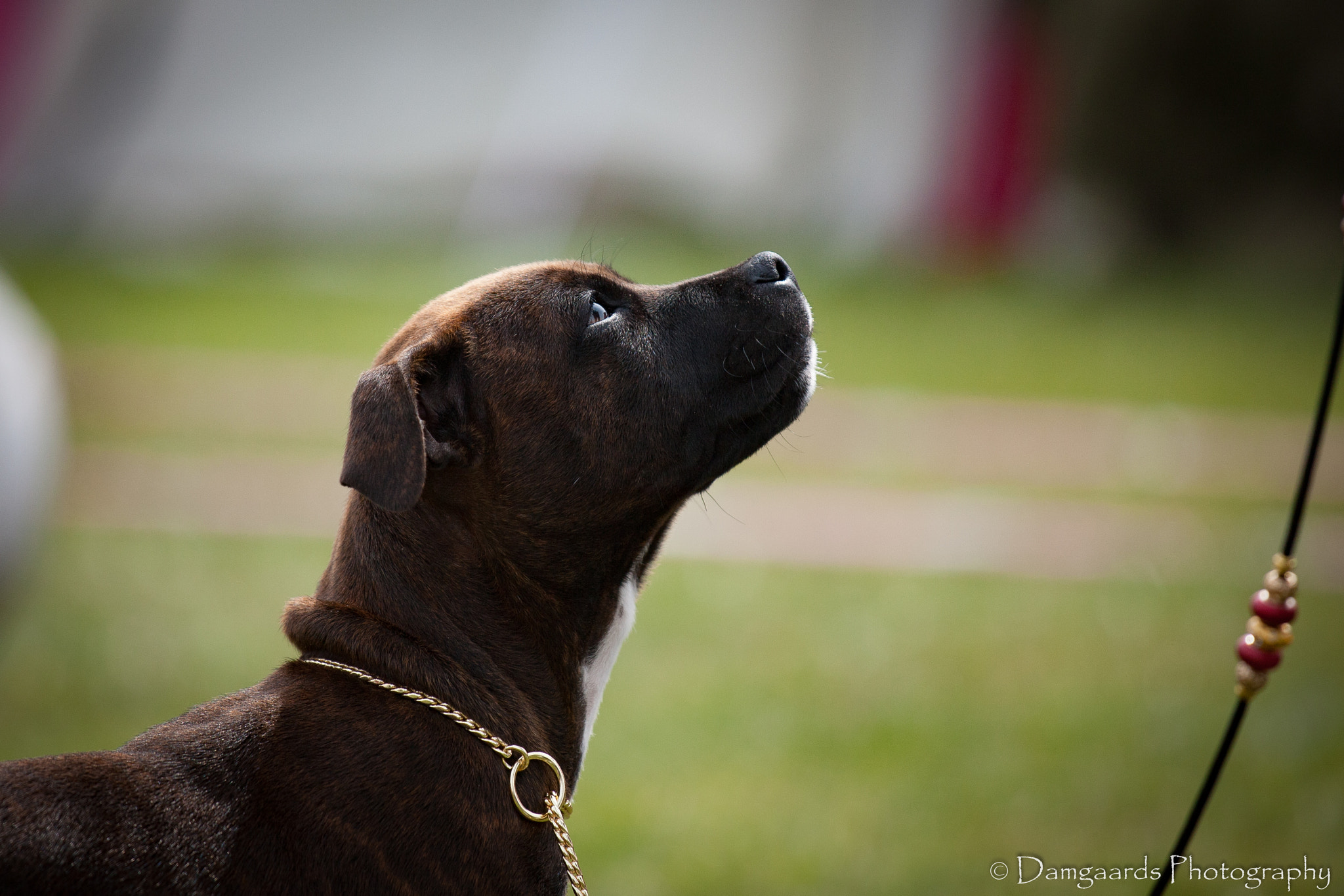 Canon EOS-1Ds Mark III sample photo. 5l0r0274.jpg photography