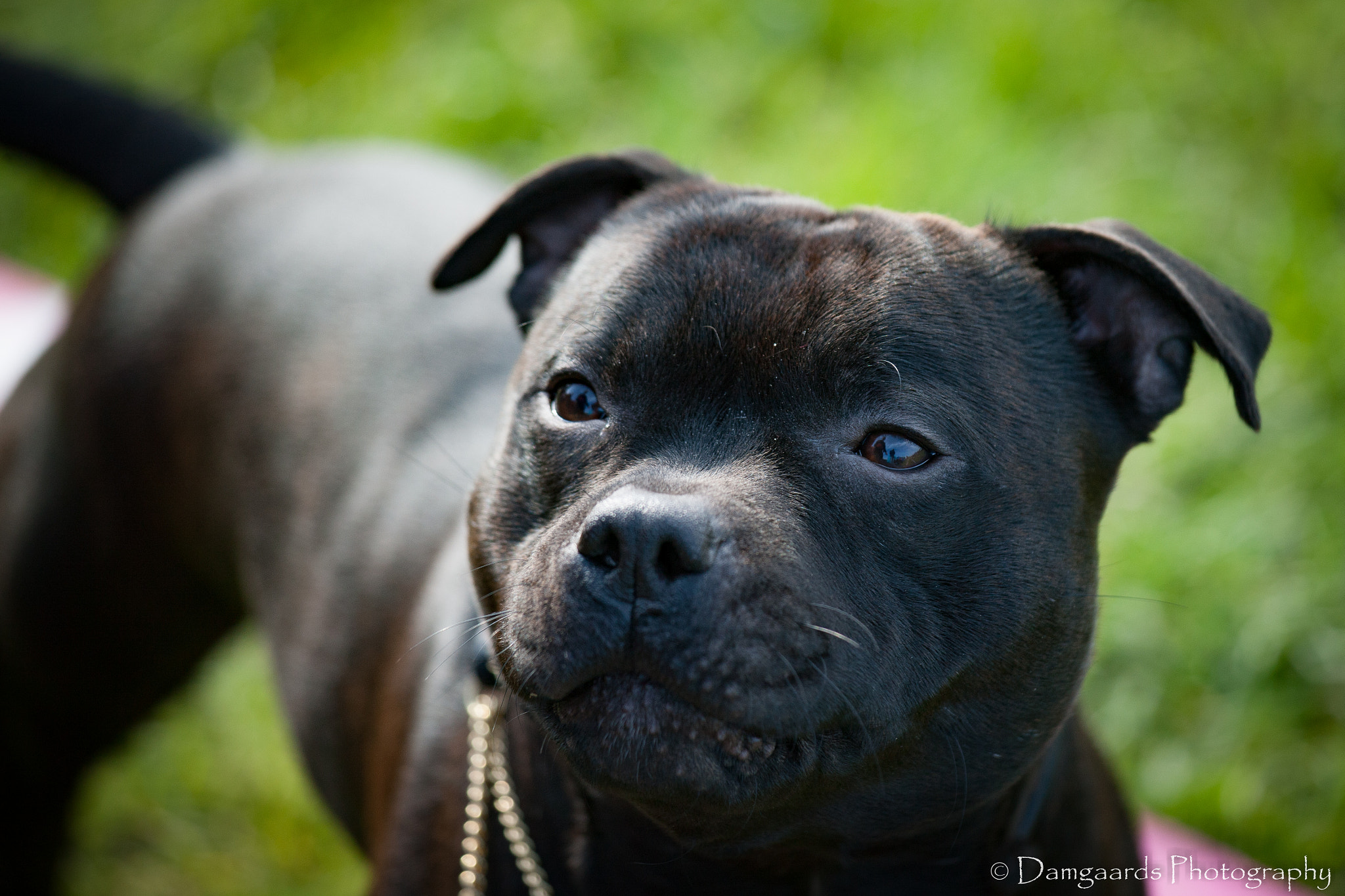 Canon EOS-1Ds Mark III sample photo. 5l0r0502.jpg photography