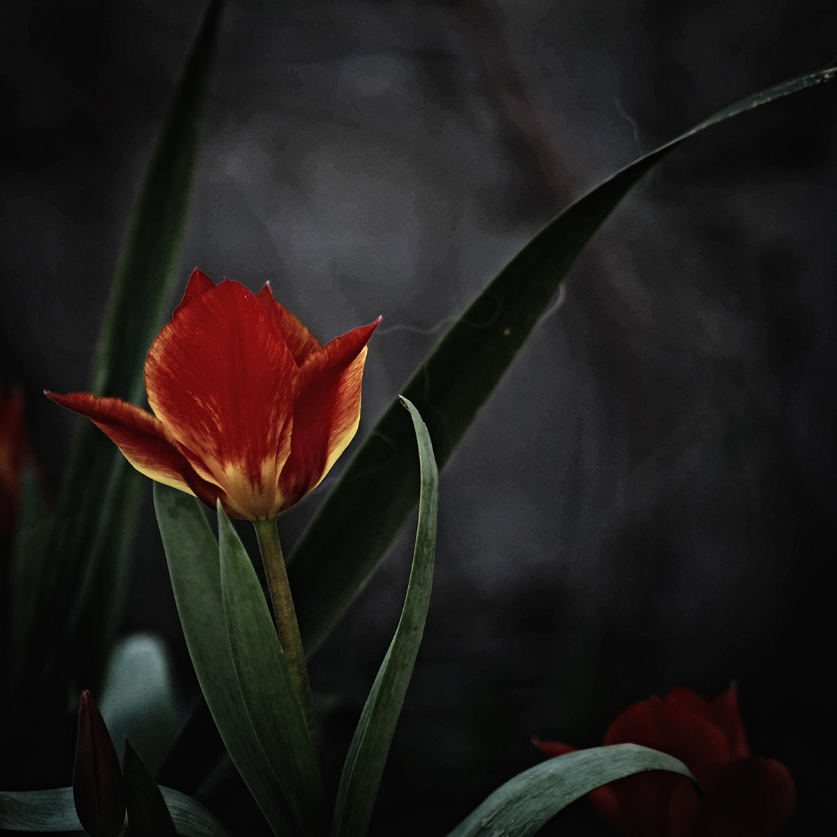 Olympus PEN E-PM2 sample photo. *** photography