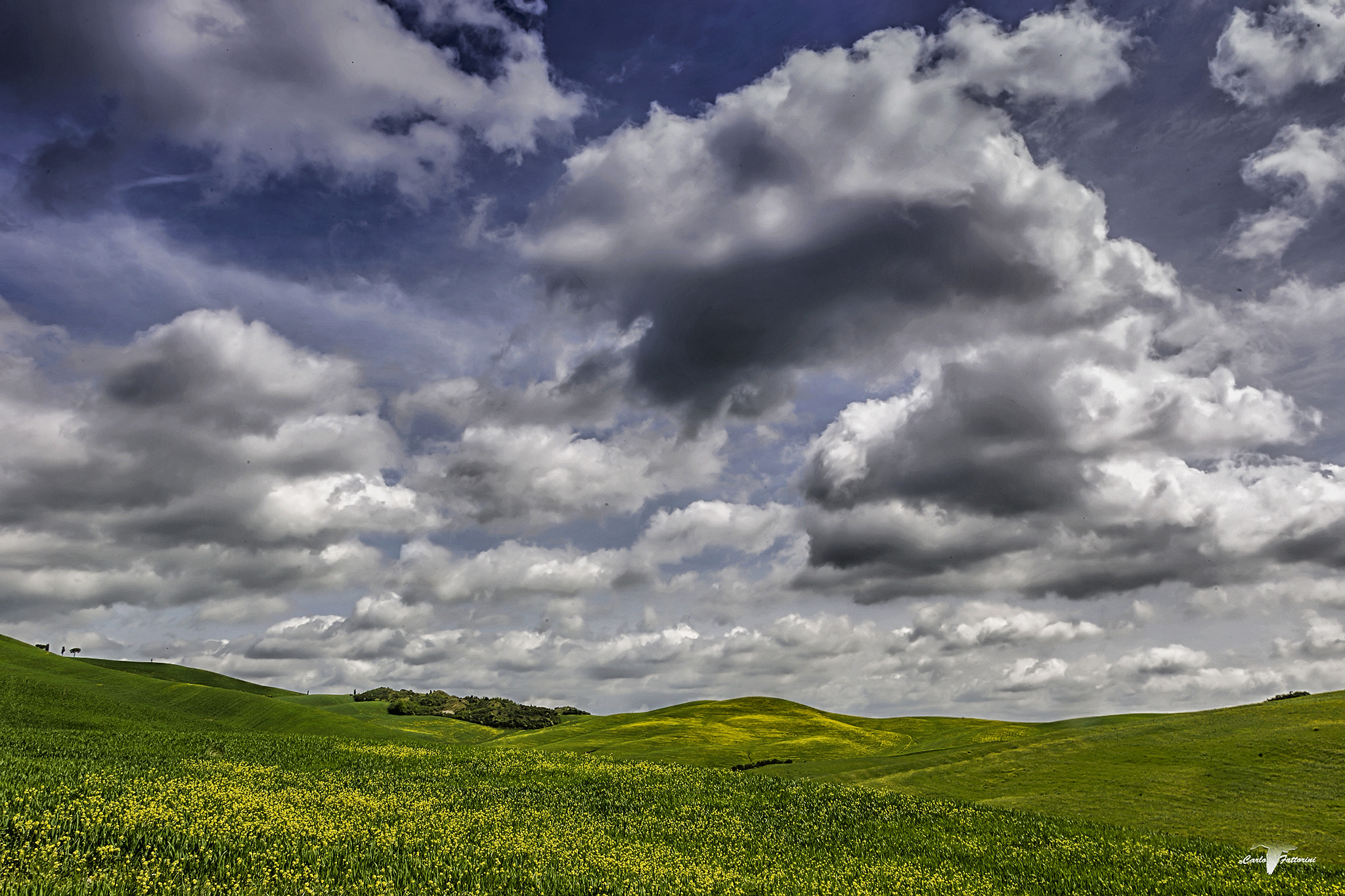 Canon EOS-1D Mark II + Canon EF 24-105mm F4L IS USM sample photo. Val d'orcia photography