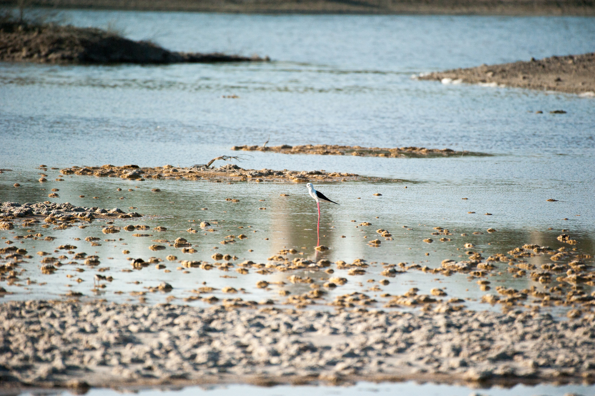Nikon AF-S Nikkor 200-500mm F5.6E ED VR sample photo. Hmz_5973.jpg photography