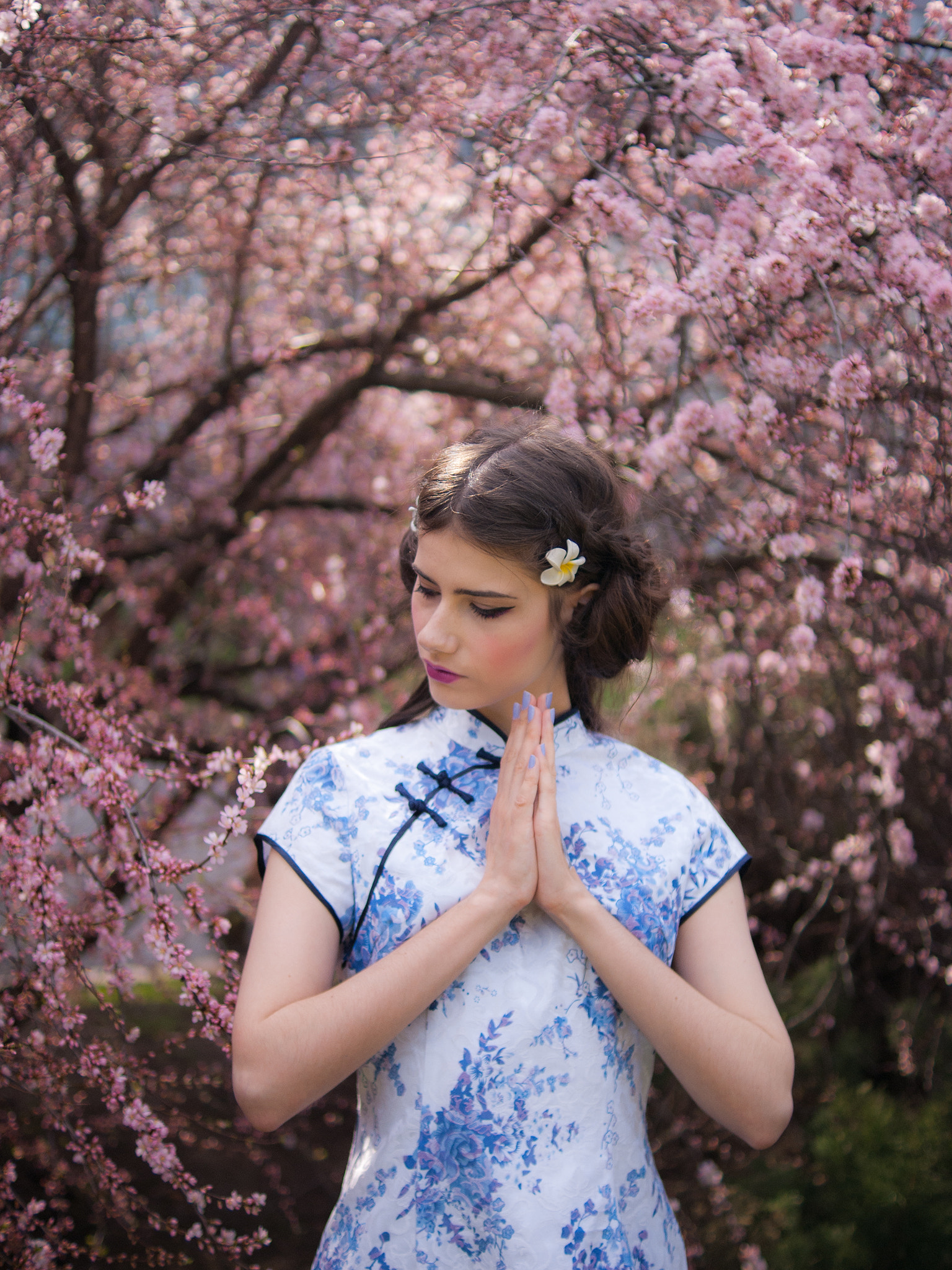 Sony Alpha DSLR-A230 + Sony DT 35mm F1.8 SAM sample photo. Geisha** photography