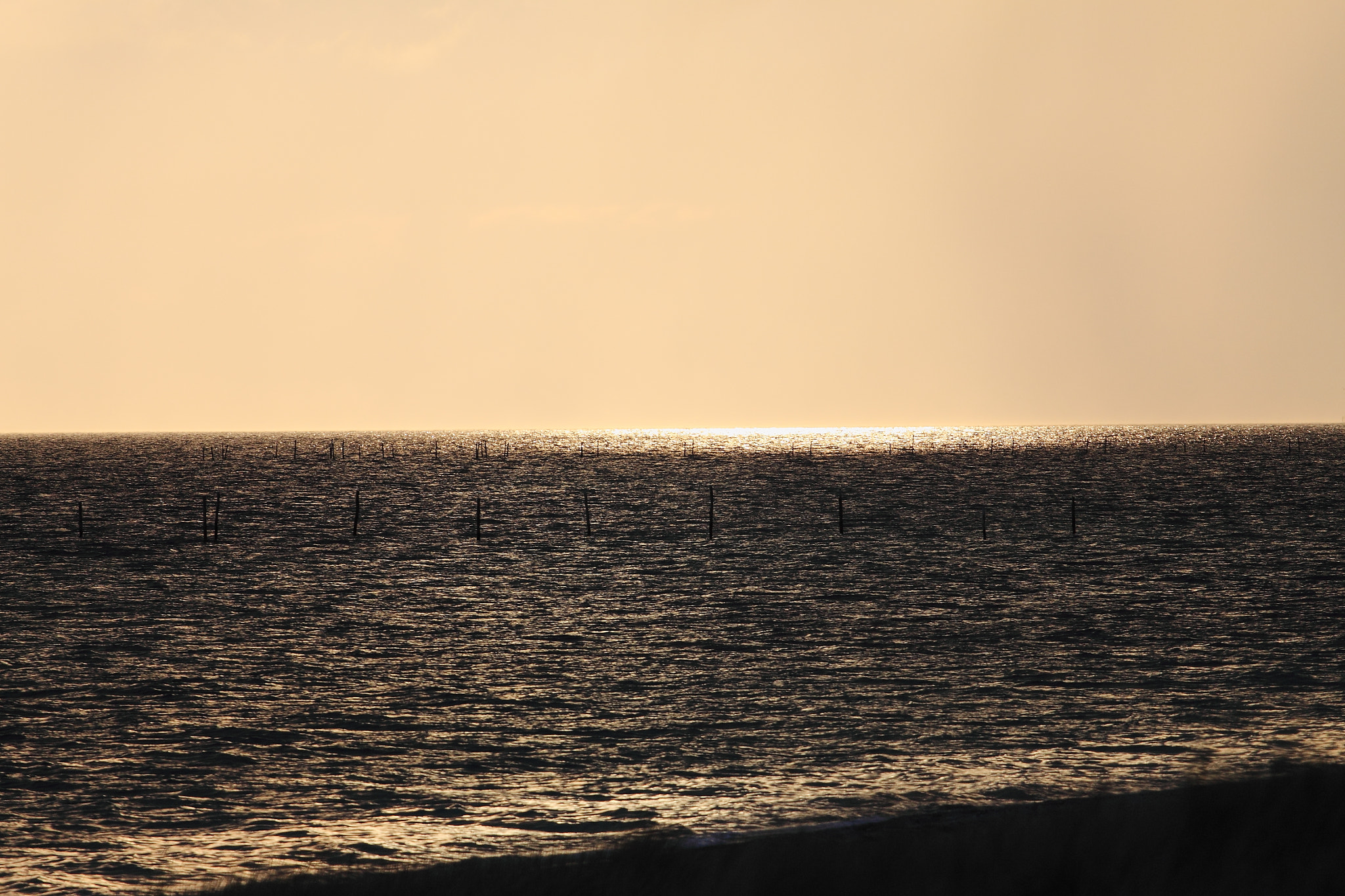 Canon EF 70-200mm F4L USM sample photo. Desert sun photography