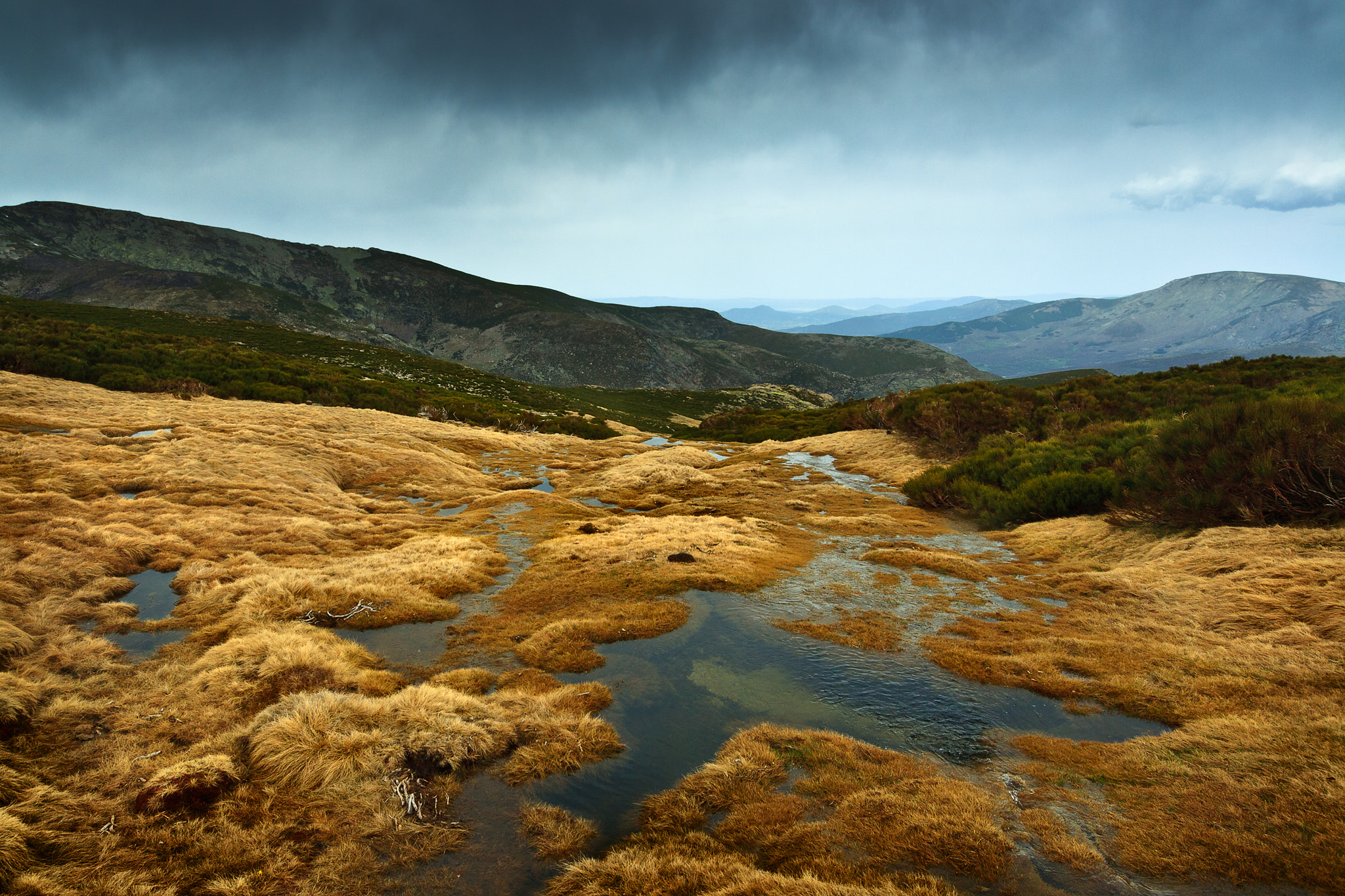 Canon EF-S 10-22mm F3.5-4.5 USM sample photo. Through the marshy mountain meadows photography