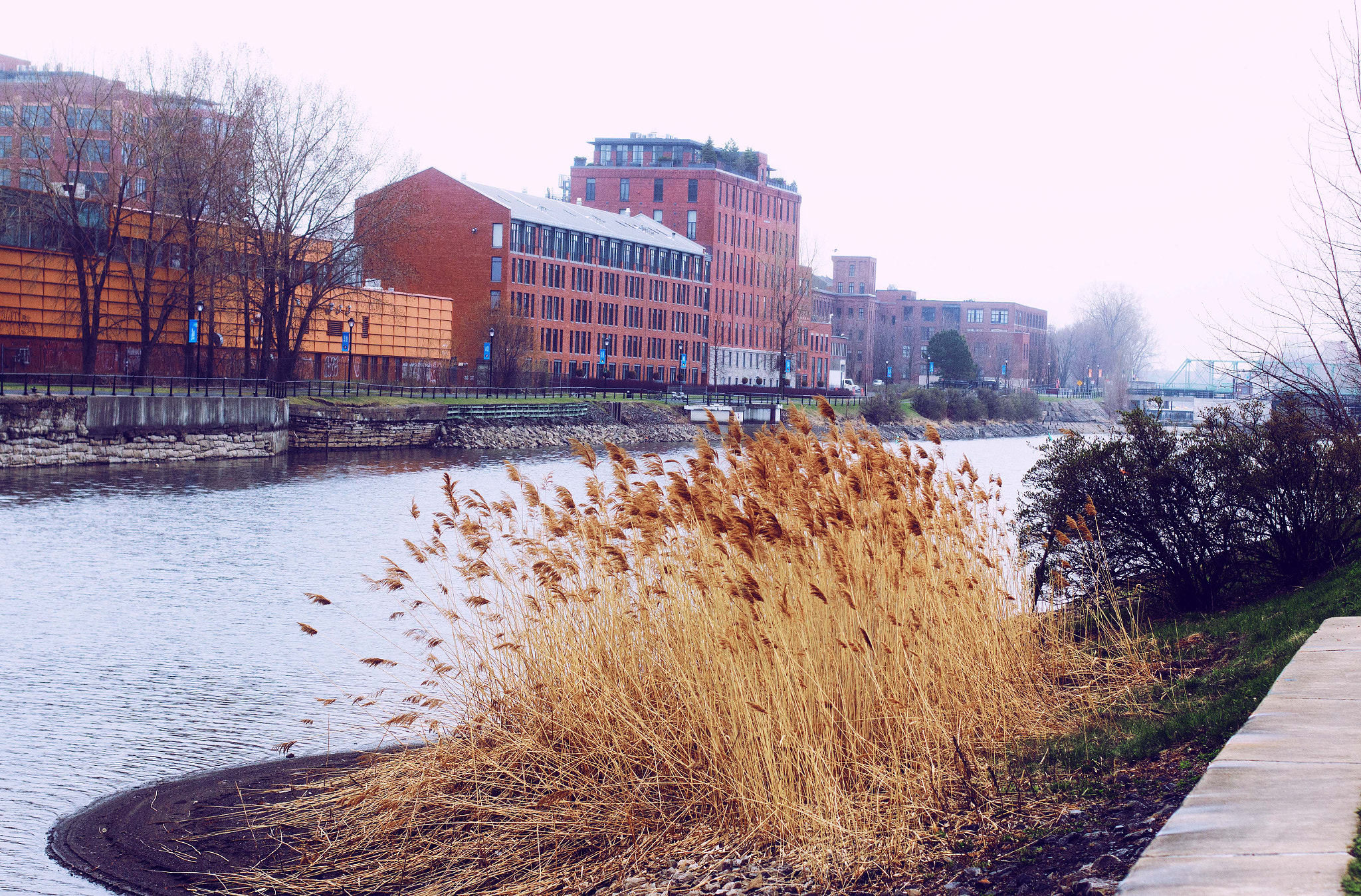 Canon EOS 700D (EOS Rebel T5i / EOS Kiss X7i) + Canon EF 50mm F1.4 USM sample photo. Lachine canal photography