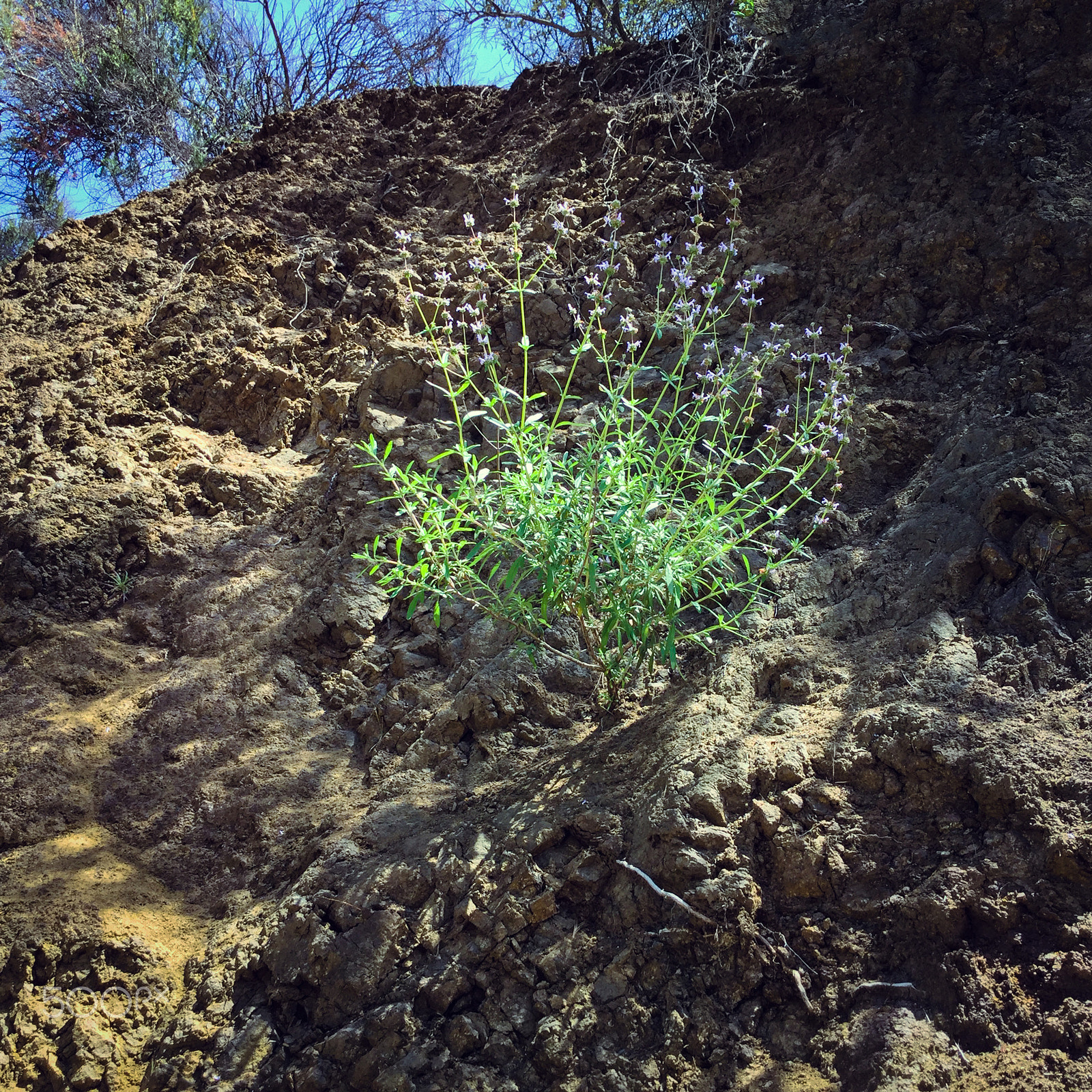iPad Air 2 back camera 3.3mm f/2.4 sample photo. Hiking malibucanyon photography