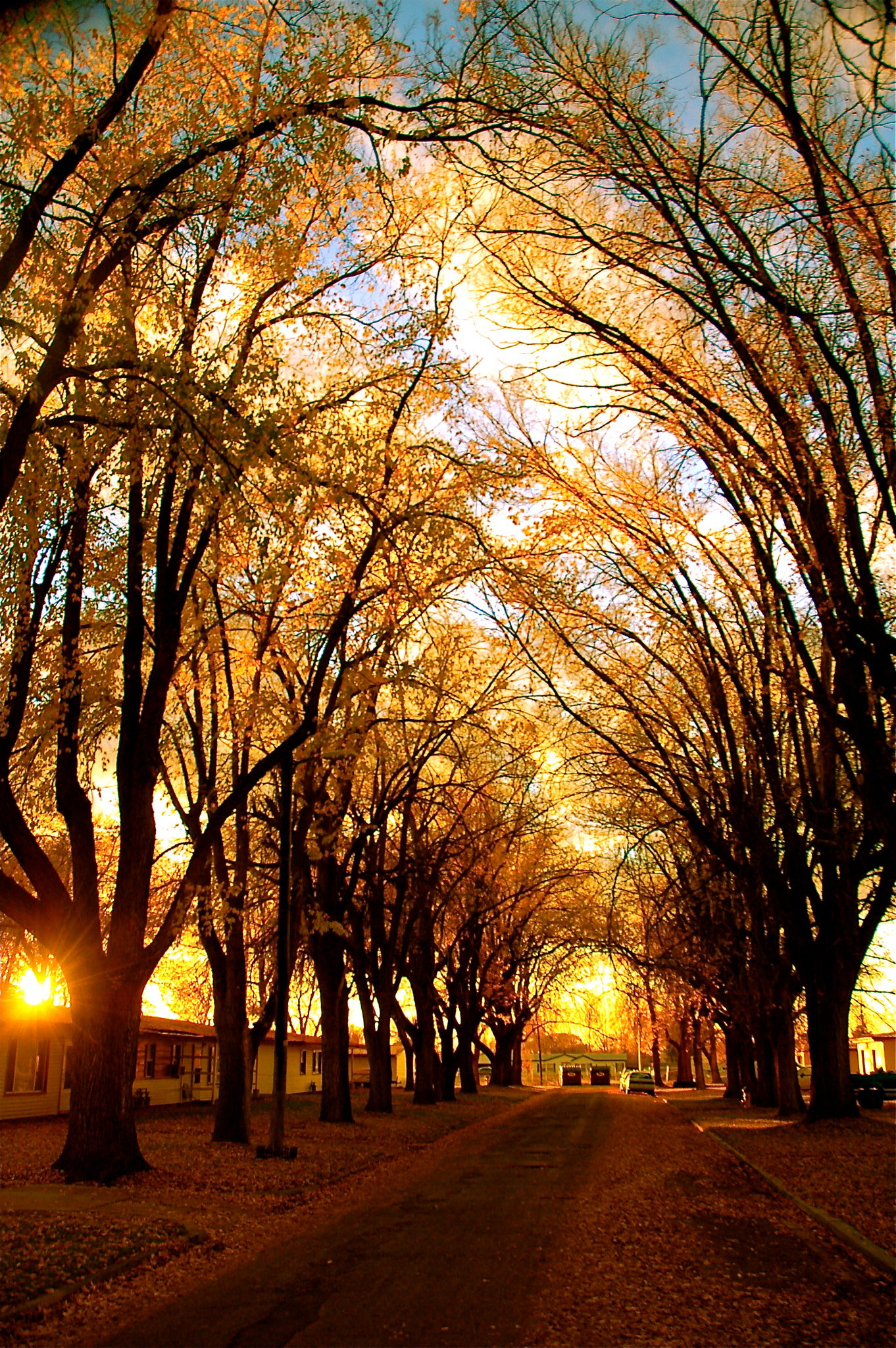 Nikon D50 sample photo. "golden sunset" when i look at this moment capture ... photography